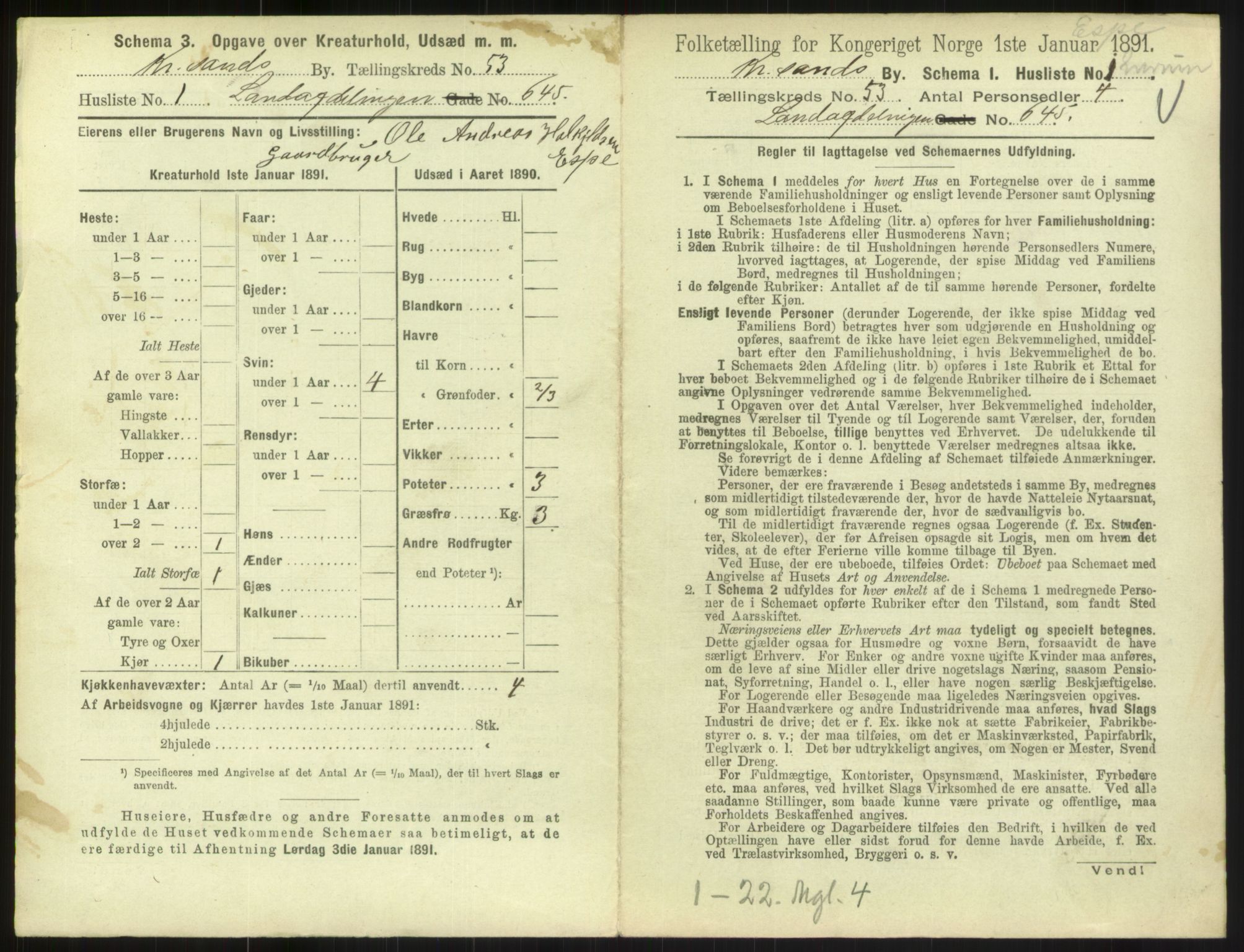 RA, 1891 census for 1001 Kristiansand, 1891, p. 2740