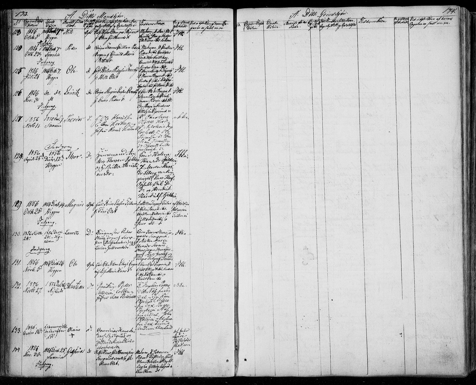 Modum kirkebøker, AV/SAKO-A-234/F/Fa/L0008: Parish register (official) no. 8, 1851-1859, p. 173-174