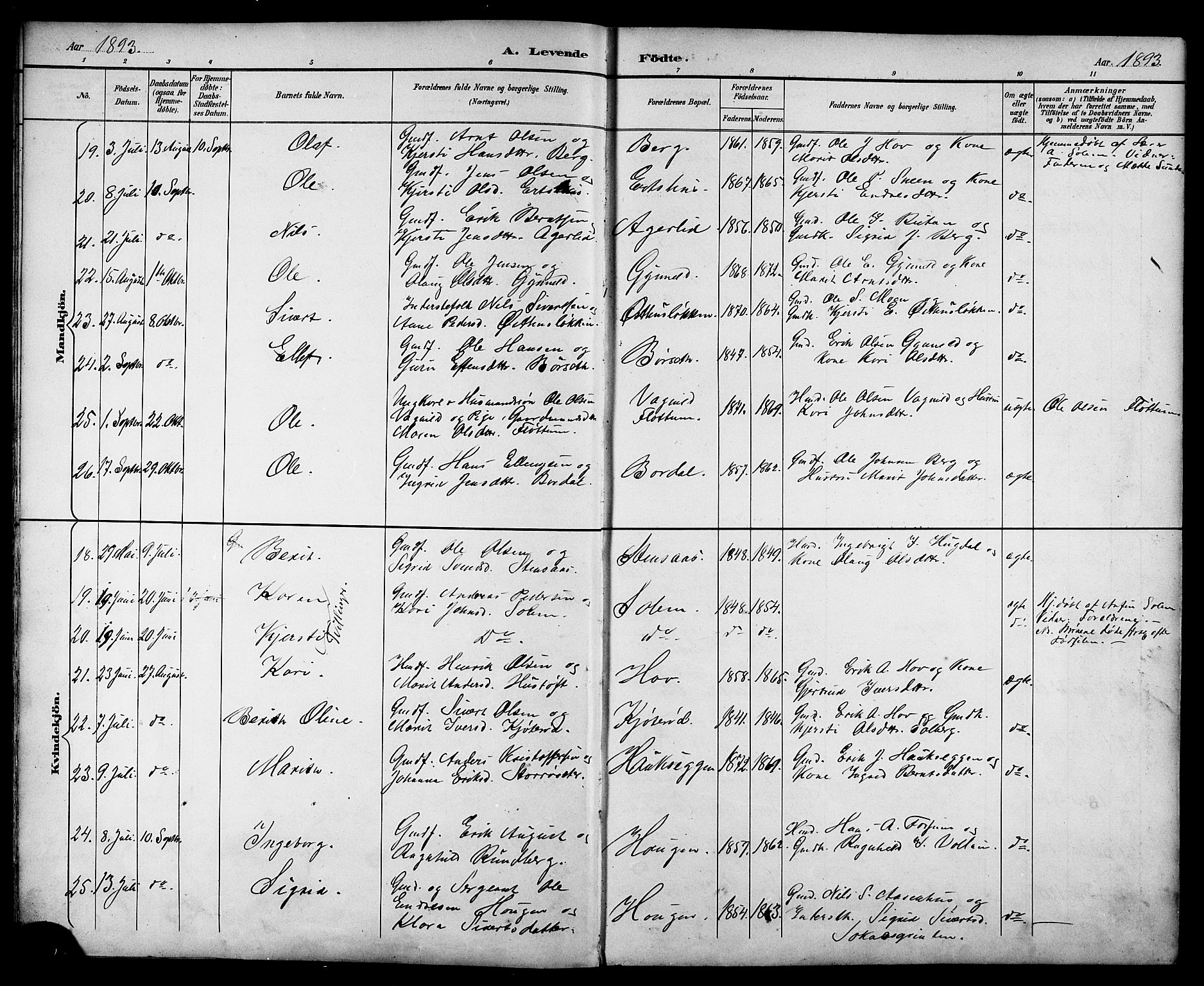 Ministerialprotokoller, klokkerbøker og fødselsregistre - Sør-Trøndelag, AV/SAT-A-1456/689/L1044: Parish register (copy) no. 689C03, 1893-1922