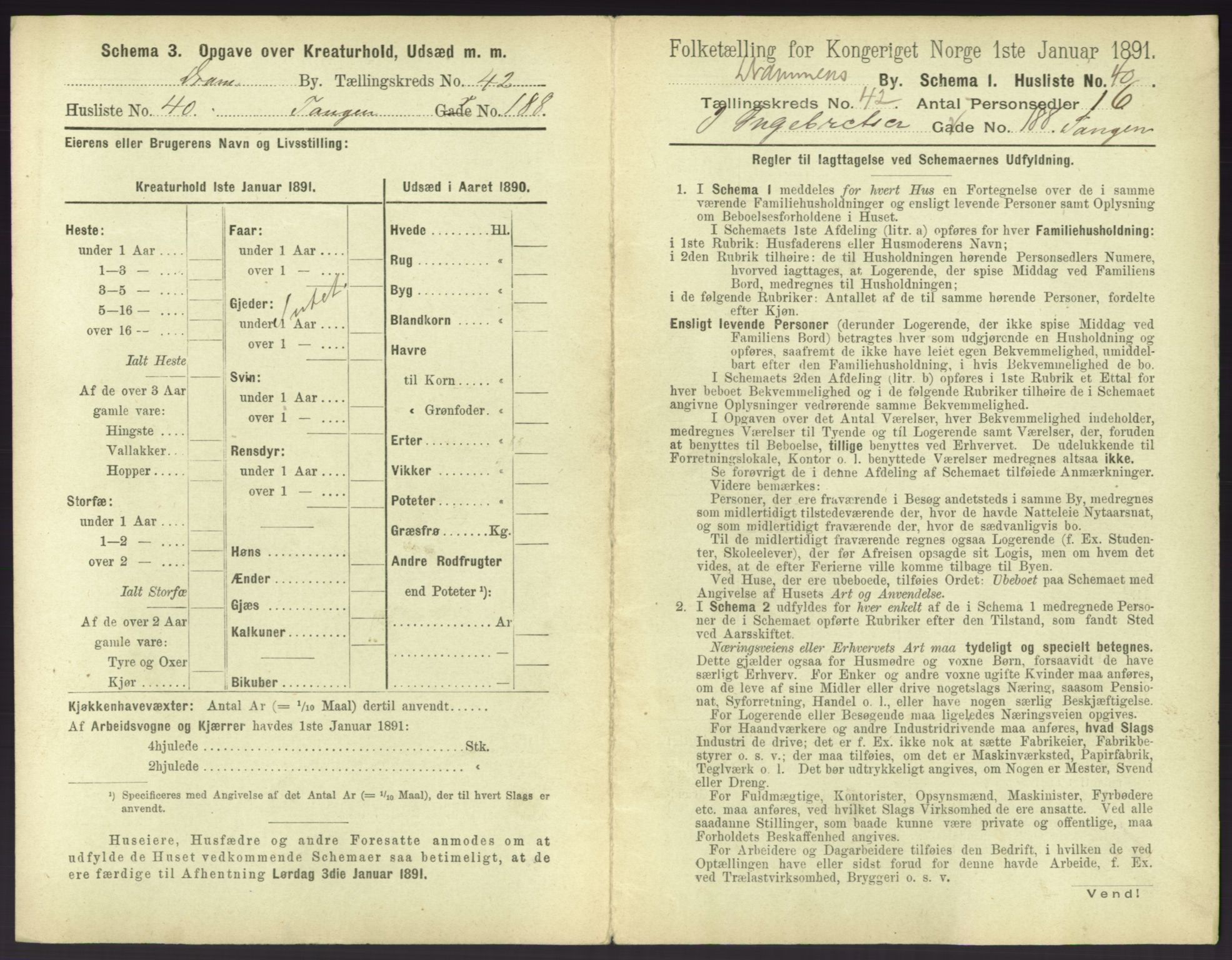 RA, 1891 census for 0602 Drammen, 1891, p. 3795