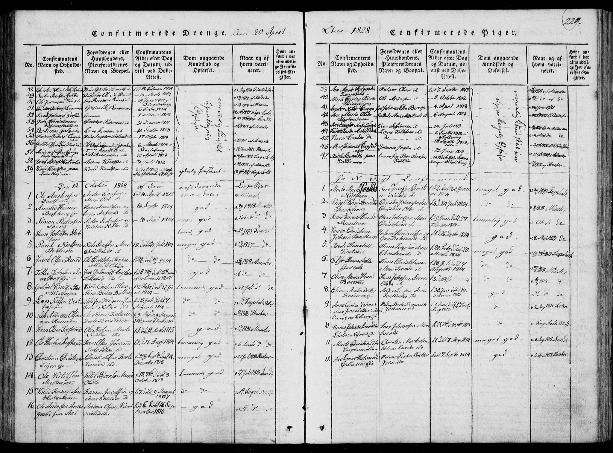 Eiker kirkebøker, SAKO/A-4/F/Fa/L0012: Parish register (official) no. I 12, 1827-1832, p. 229