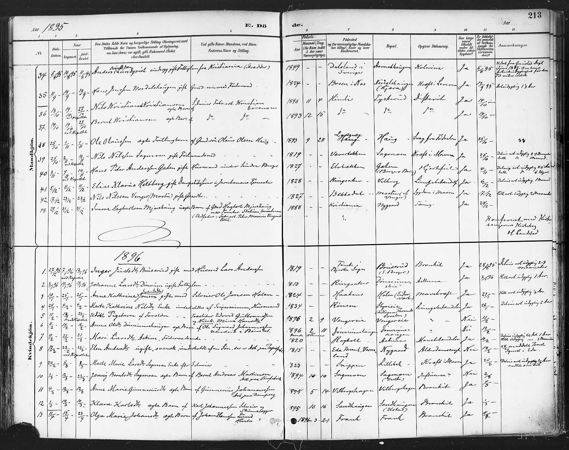 Eidsvoll prestekontor Kirkebøker, SAO/A-10888/F/Fa/L0004: Parish register (official) no. I 4, 1891-1900, p. 213