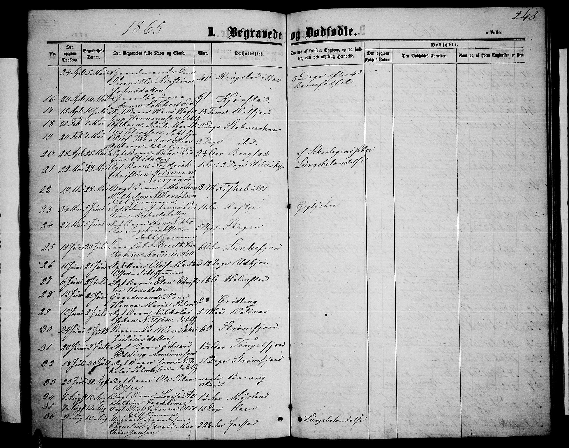 Ministerialprotokoller, klokkerbøker og fødselsregistre - Nordland, AV/SAT-A-1459/888/L1266: Parish register (copy) no. 888C04, 1864-1877, p. 243