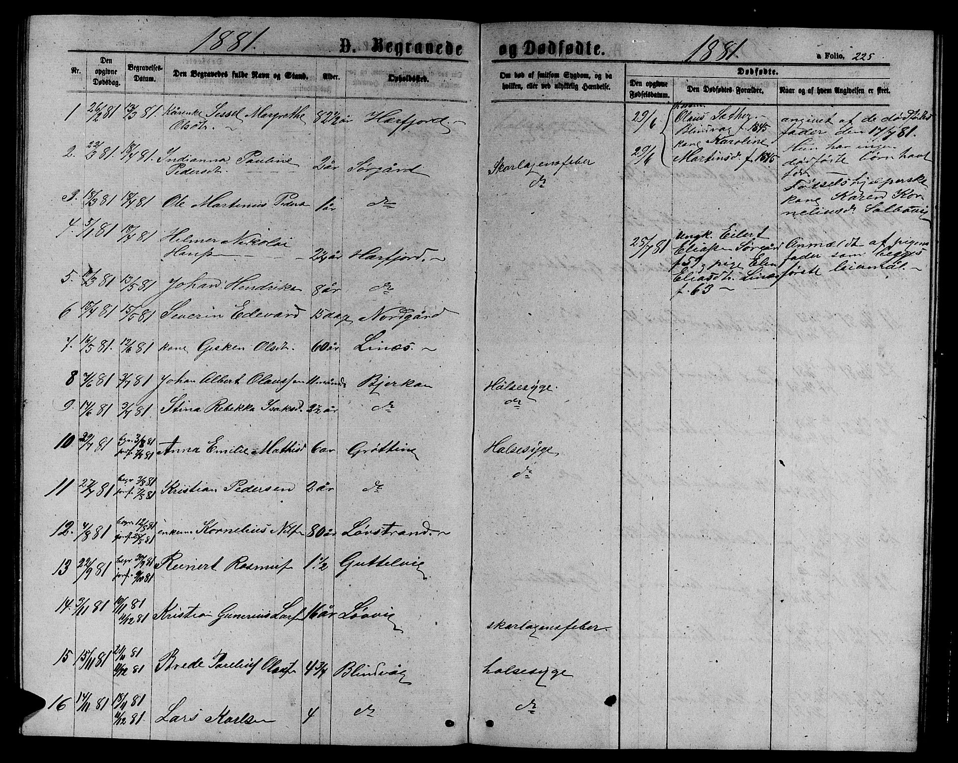 Ministerialprotokoller, klokkerbøker og fødselsregistre - Sør-Trøndelag, SAT/A-1456/656/L0695: Parish register (copy) no. 656C01, 1867-1889, p. 225