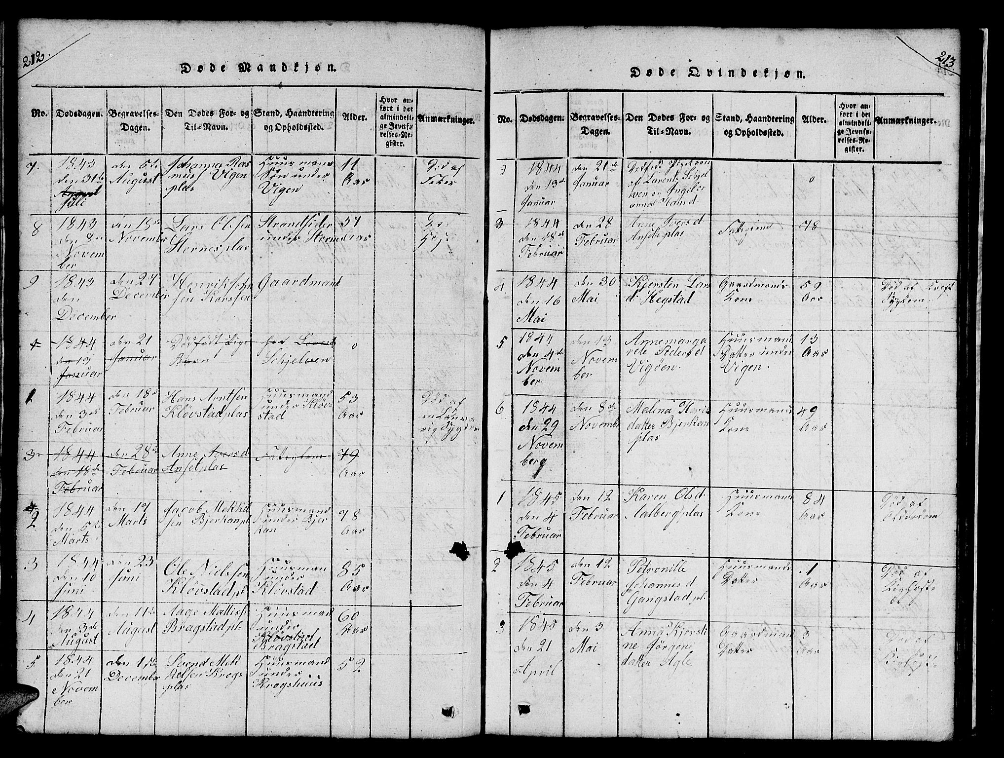 Ministerialprotokoller, klokkerbøker og fødselsregistre - Nord-Trøndelag, SAT/A-1458/732/L0317: Parish register (copy) no. 732C01, 1816-1881, p. 212-213