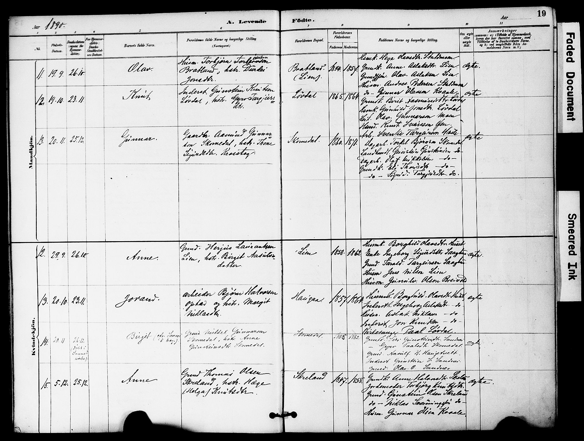 Bygland sokneprestkontor, AV/SAK-1111-0006/F/Fa/Fab/L0007: Parish register (official) no. A 7, 1885-1909, p. 19