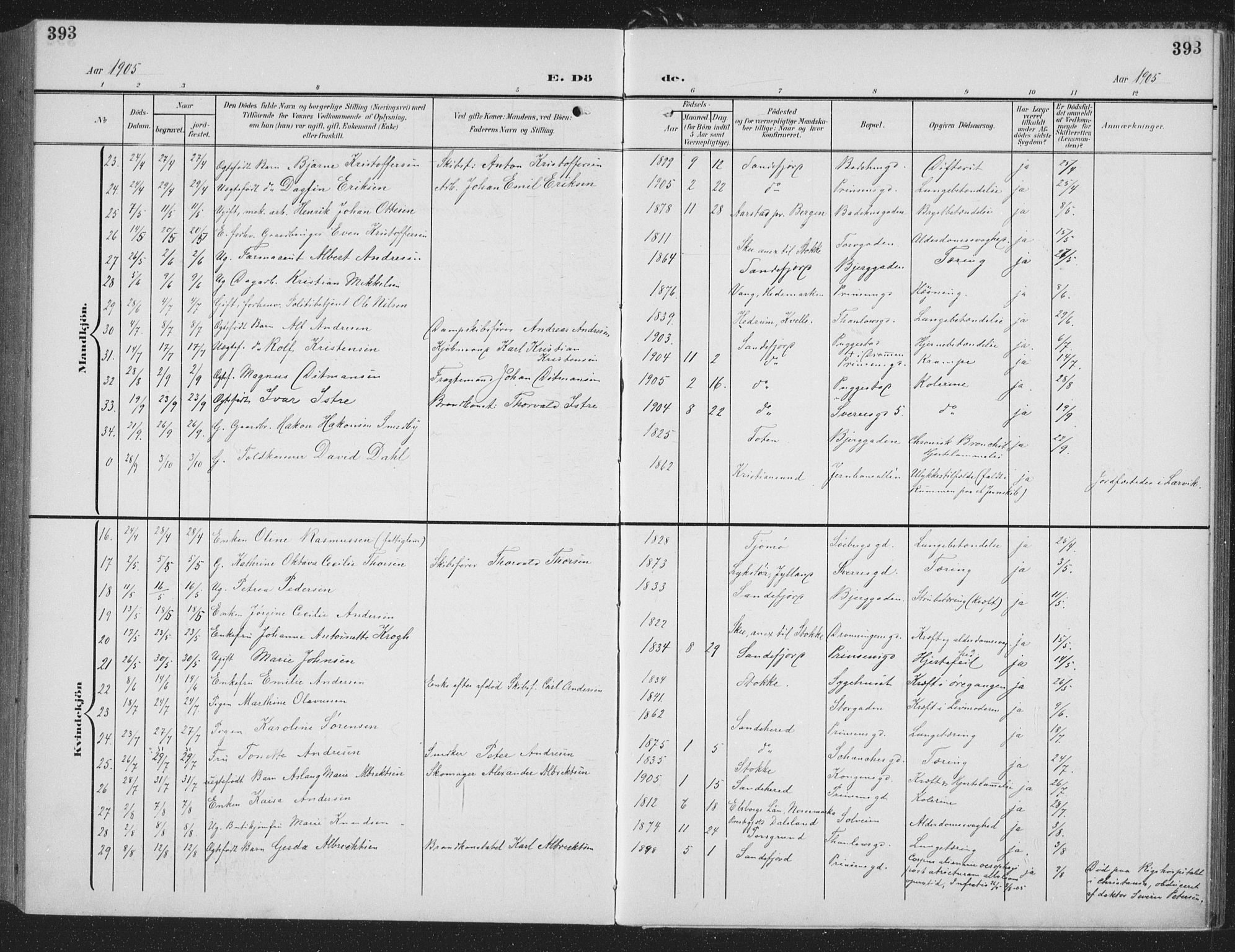 Sandefjord kirkebøker, AV/SAKO-A-315/G/Ga/L0003: Parish register (copy) no. 3, 1903-1920, p. 393