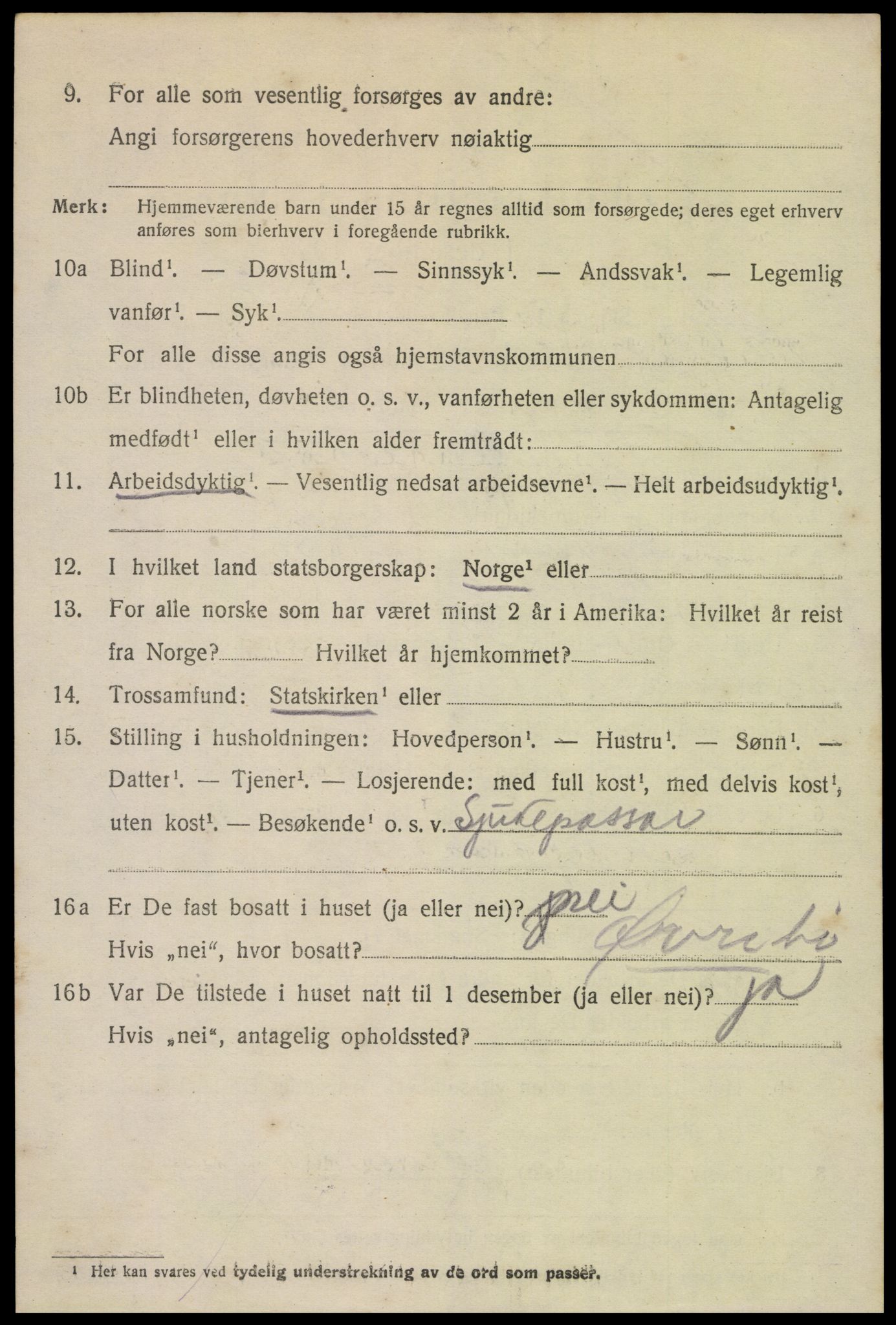 SAK, 1920 census for Hornnes, 1920, p. 3250