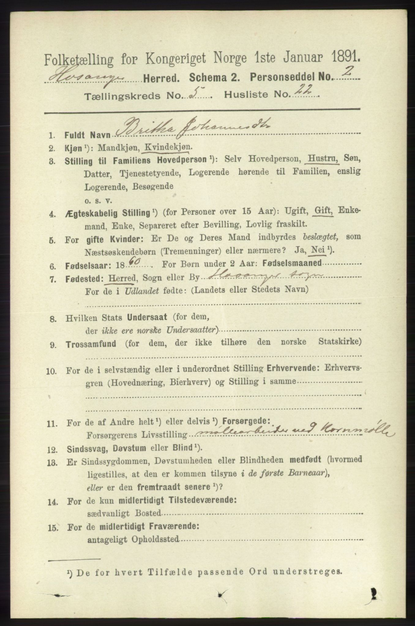 RA, 1891 census for 1253 Hosanger, 1891, p. 1927