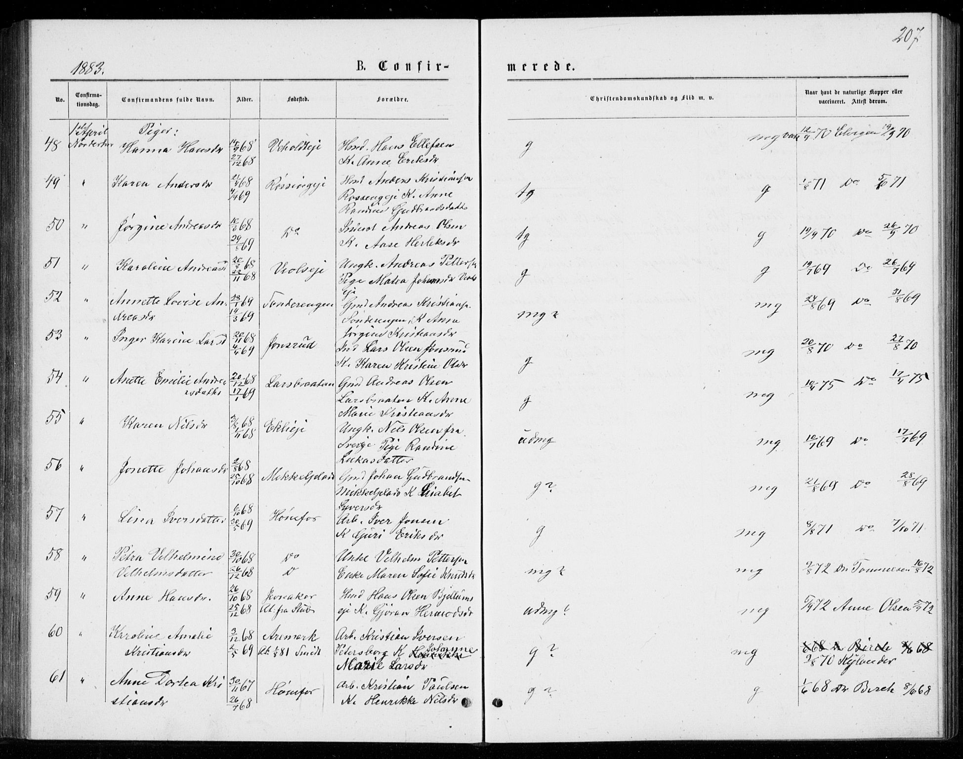 Norderhov kirkebøker, AV/SAKO-A-237/G/Ga/L0007: Parish register (copy) no. I 7, 1877-1887, p. 207