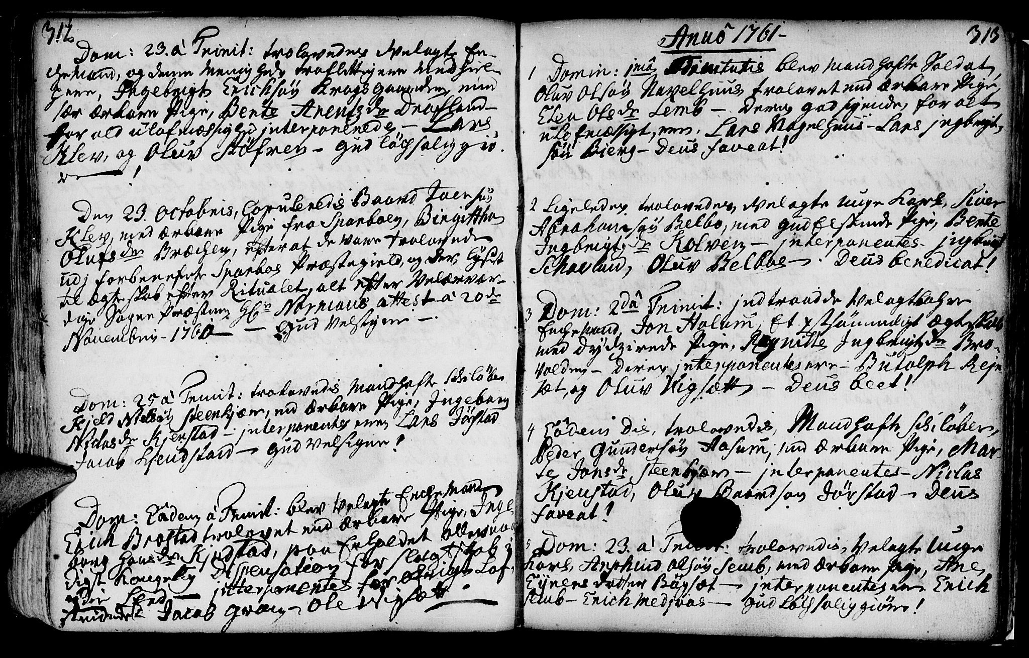 Ministerialprotokoller, klokkerbøker og fødselsregistre - Nord-Trøndelag, SAT/A-1458/749/L0467: Parish register (official) no. 749A01, 1733-1787, p. 312-313