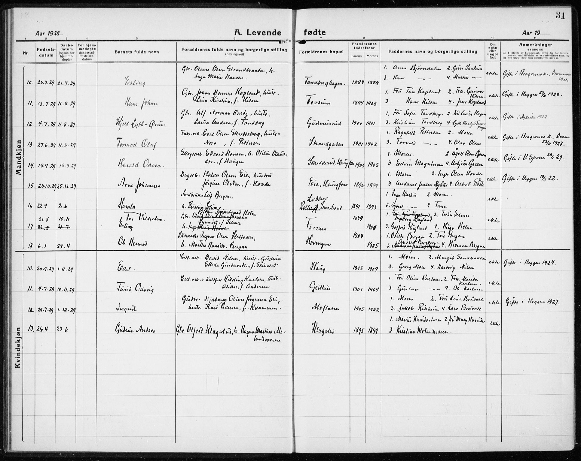 Modum kirkebøker, AV/SAKO-A-234/G/Gc/L0002: Parish register (copy) no. III 2, 1919-1935, p. 31