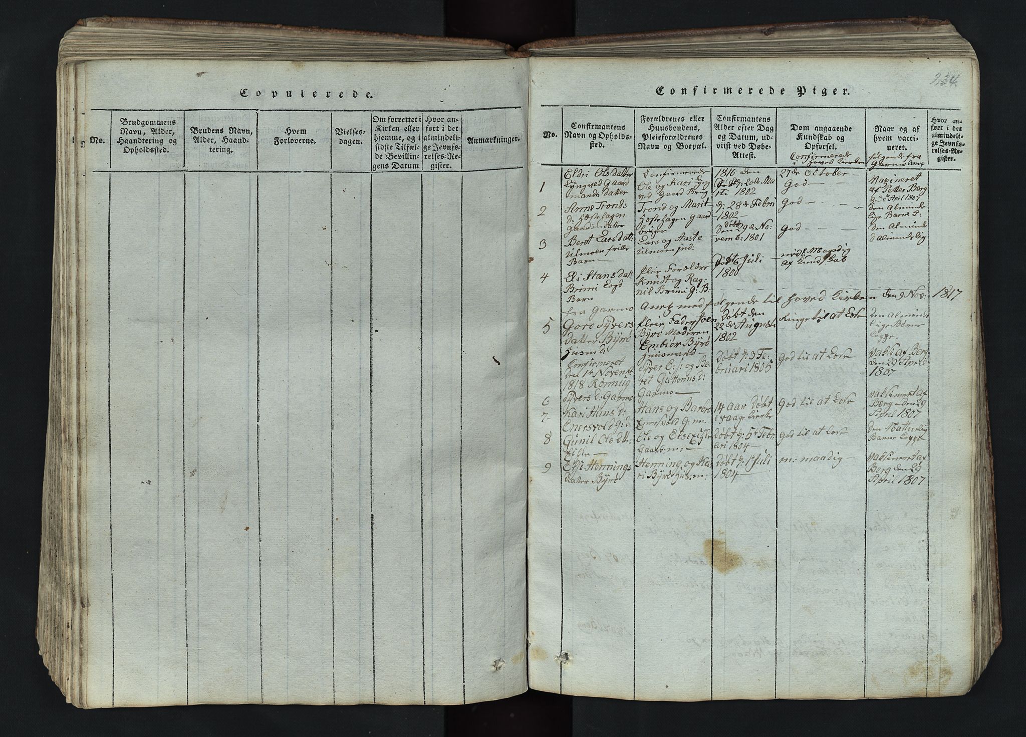 Lom prestekontor, SAH/PREST-070/L/L0002: Parish register (copy) no. 2, 1815-1844, p. 234