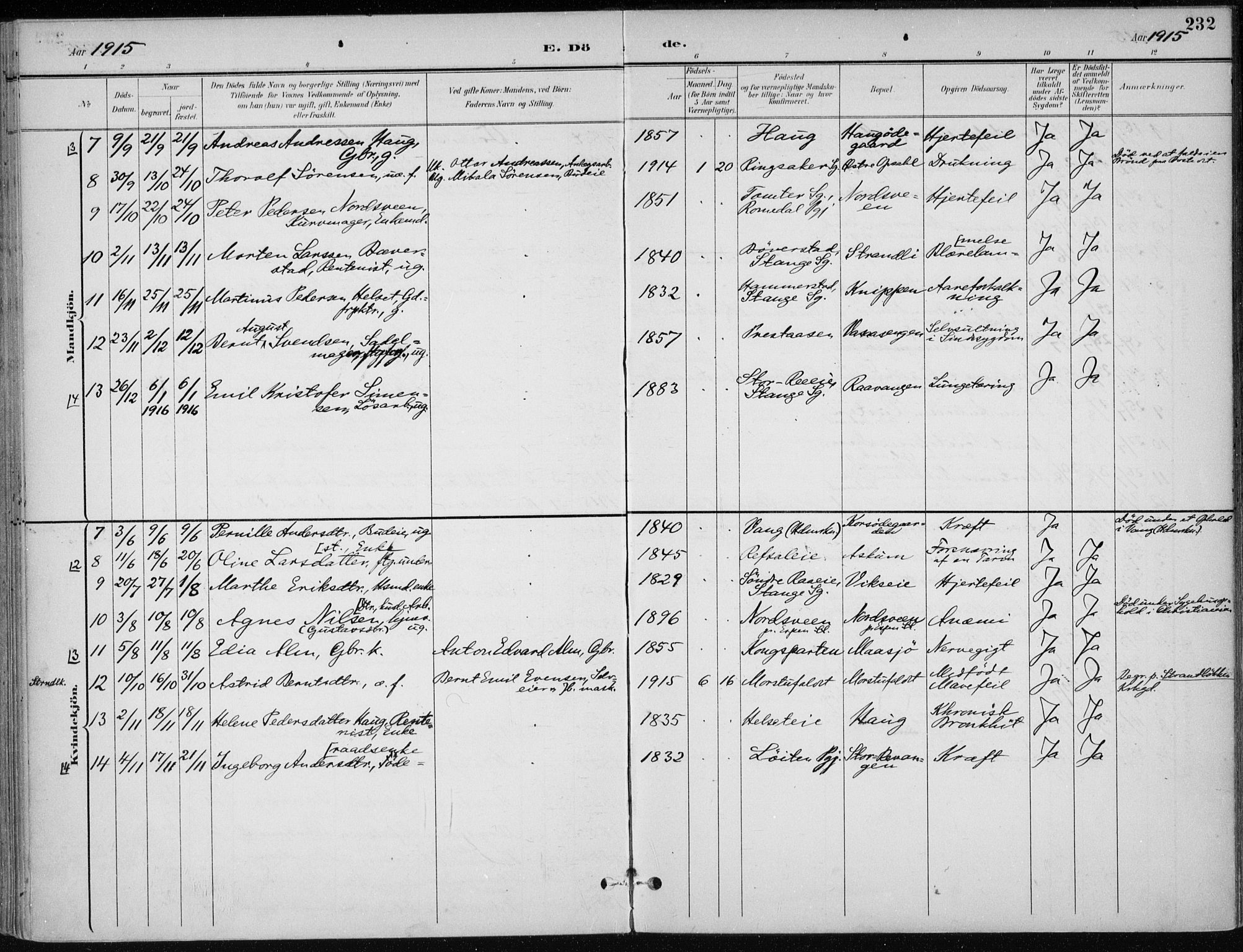 Stange prestekontor, AV/SAH-PREST-002/K/L0023: Parish register (official) no. 23, 1897-1920, p. 232