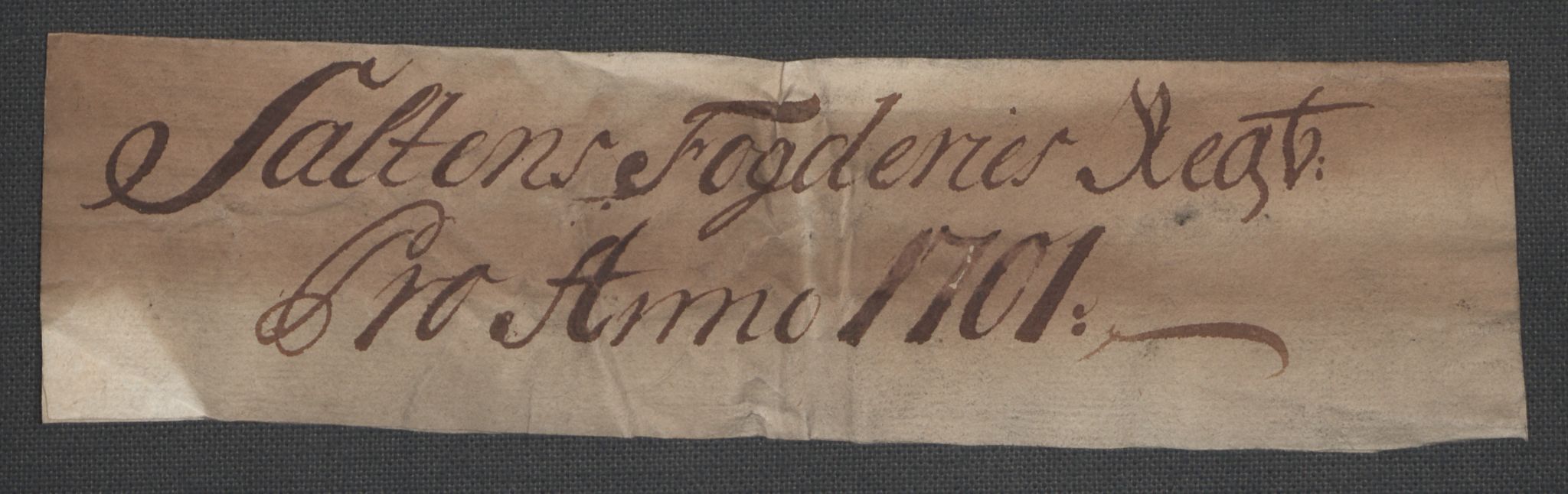 Rentekammeret inntil 1814, Reviderte regnskaper, Fogderegnskap, AV/RA-EA-4092/R66/L4580: Fogderegnskap Salten, 1701-1706, p. 4