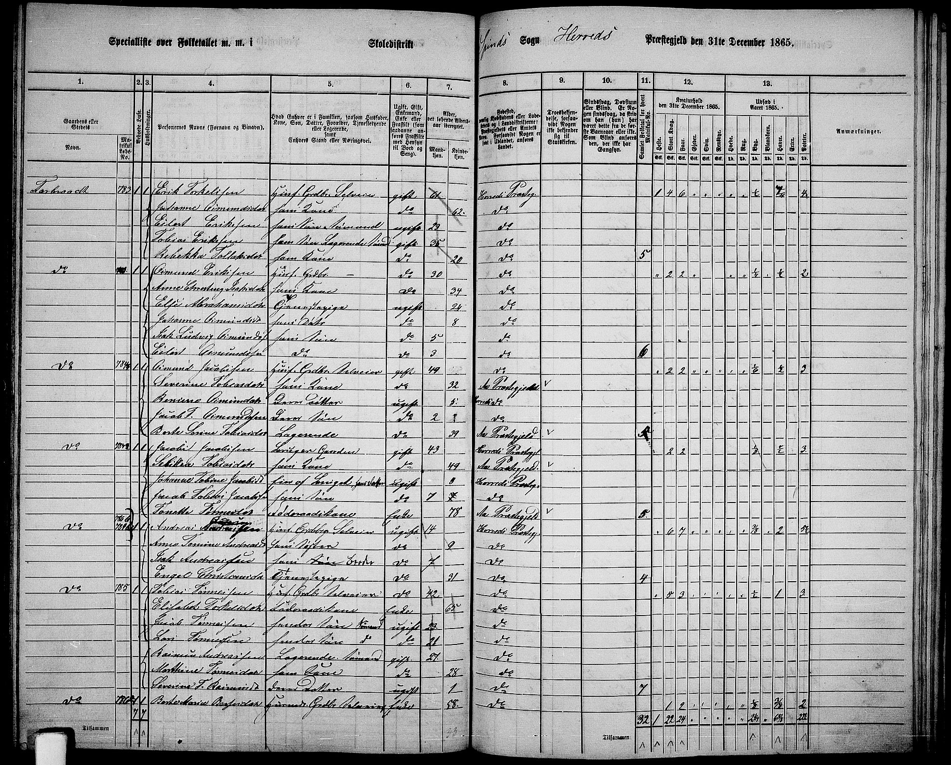 RA, 1865 census for Herad, 1865, p. 62