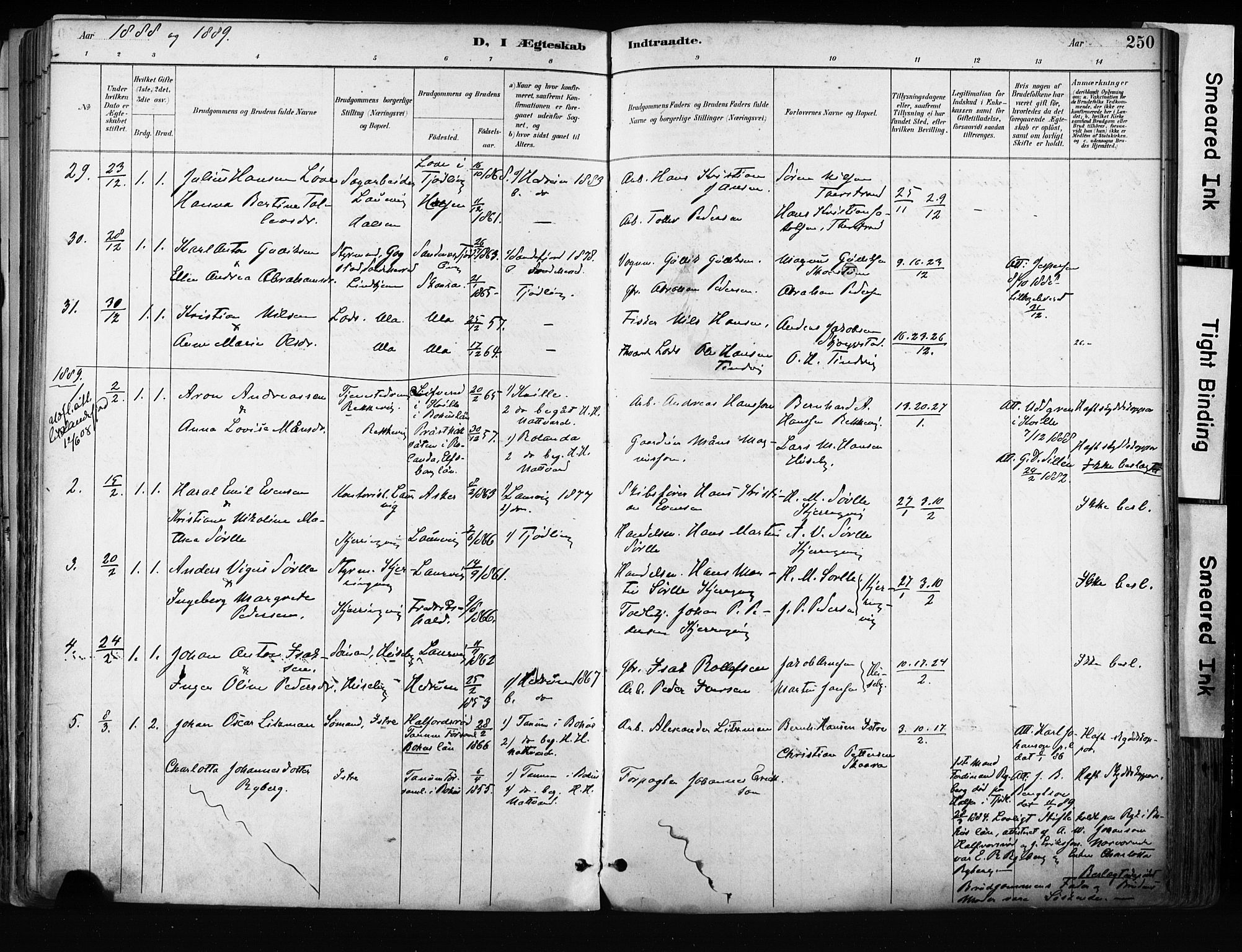 Tjølling kirkebøker, AV/SAKO-A-60/F/Fa/L0009: Parish register (official) no. 9, 1887-1905, p. 250