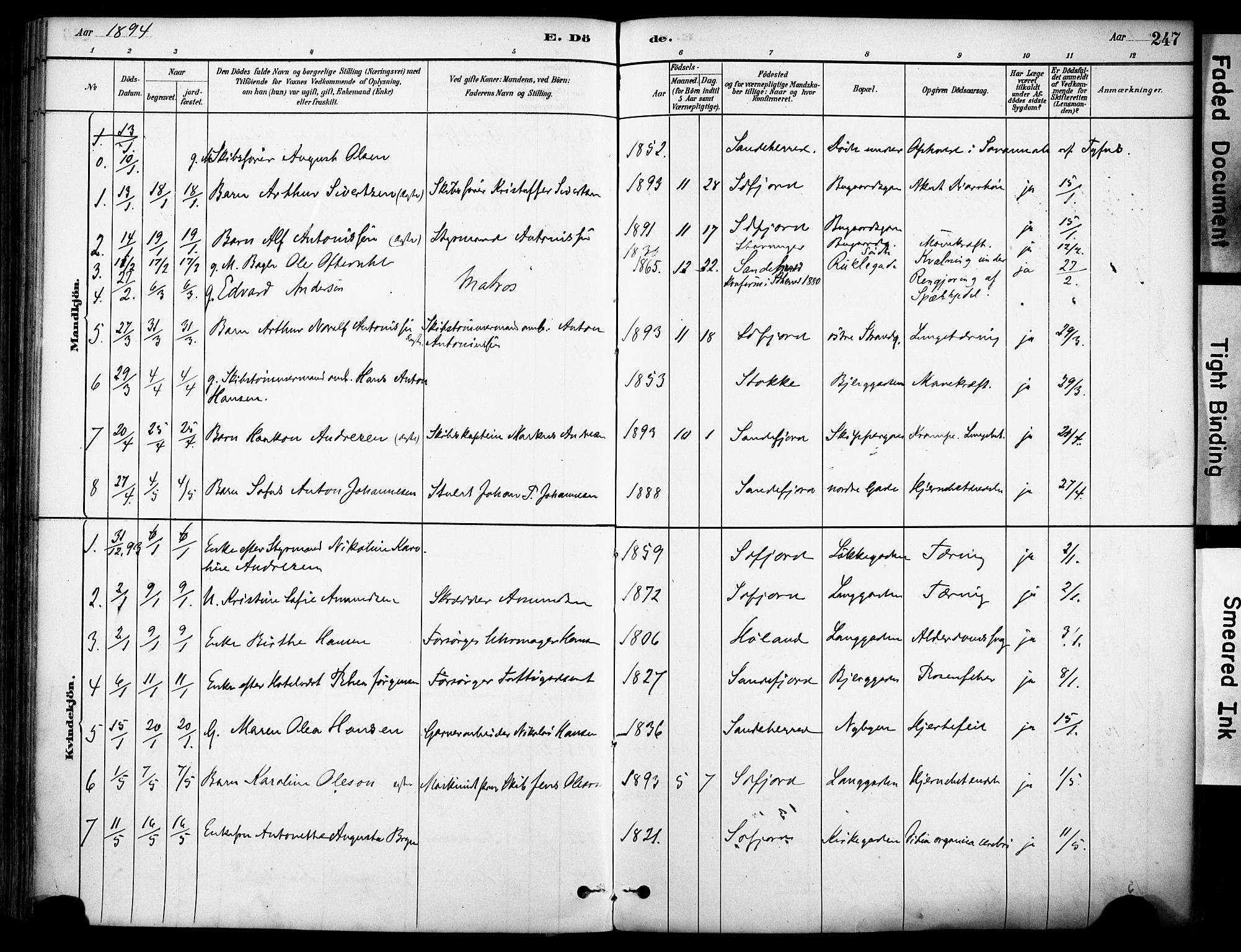 Sandefjord kirkebøker, SAKO/A-315/F/Fa/L0002: Parish register (official) no. 2, 1880-1894, p. 247