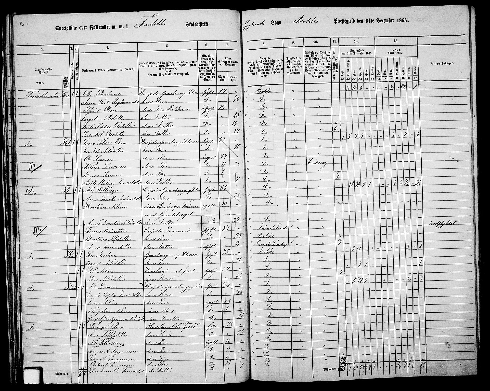 RA, 1865 census for Bakke, 1865, p. 32