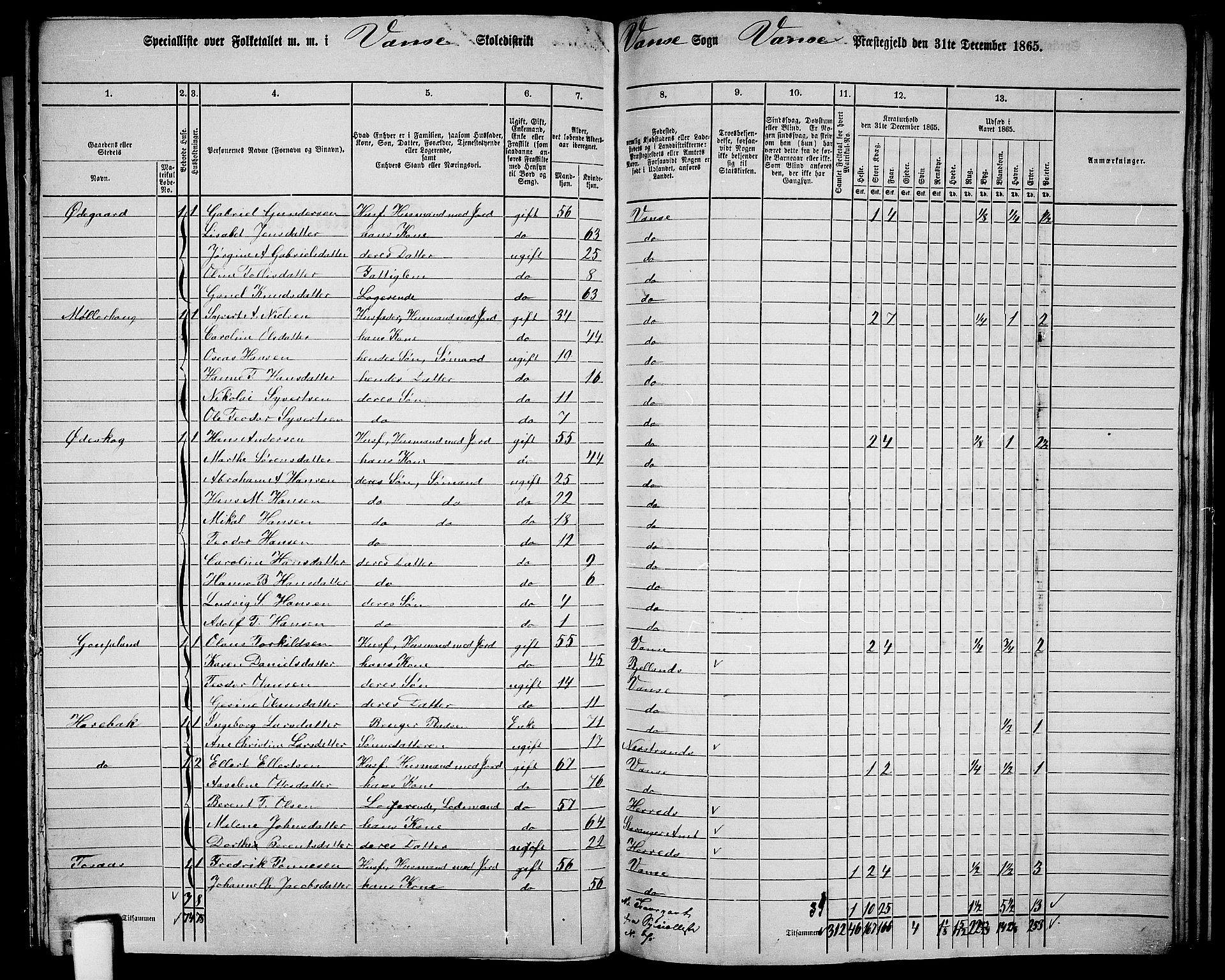 RA, 1865 census for Vanse/Vanse og Farsund, 1865, p. 234