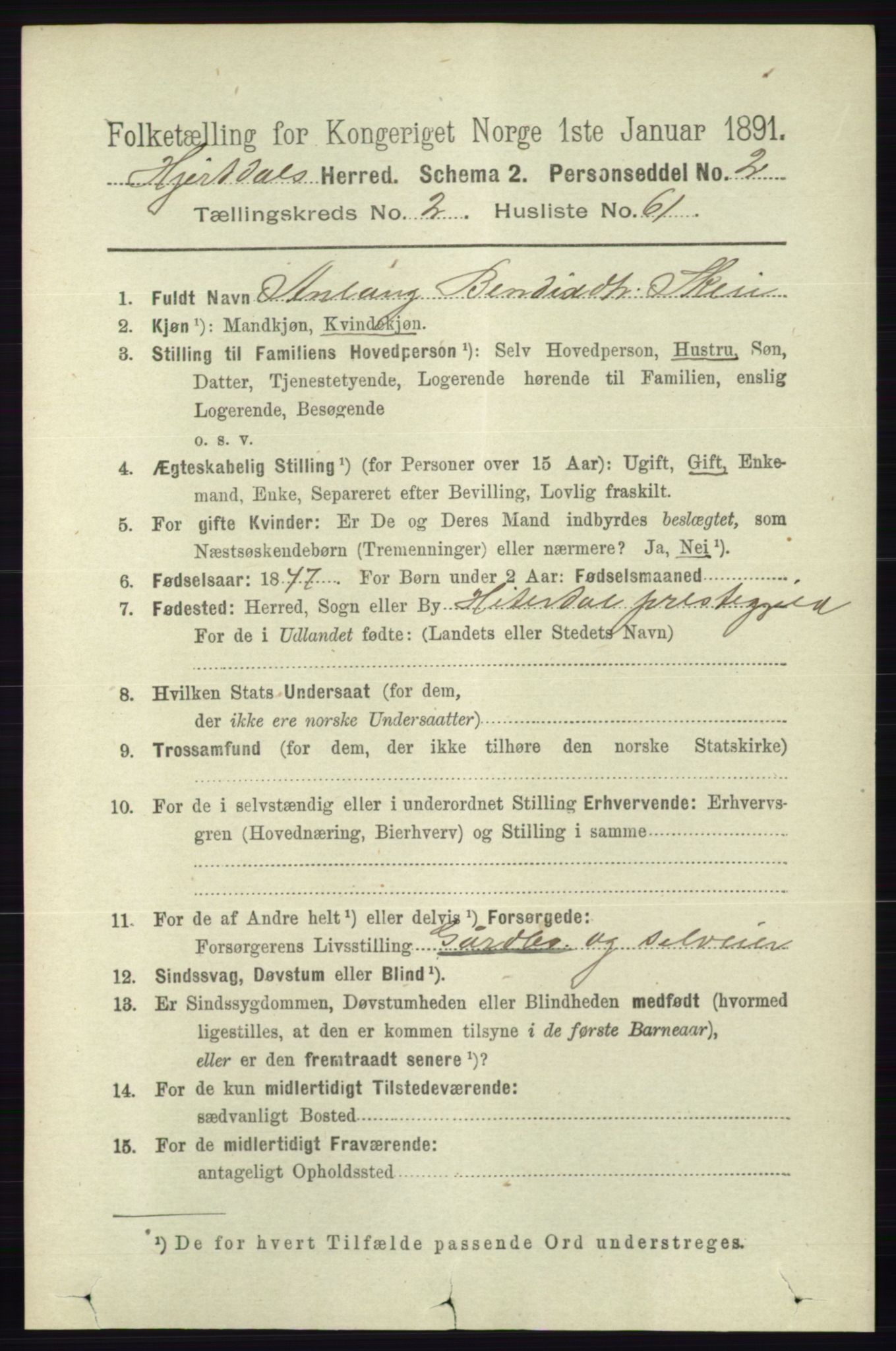 RA, 1891 census for 0827 Hjartdal, 1891, p. 975