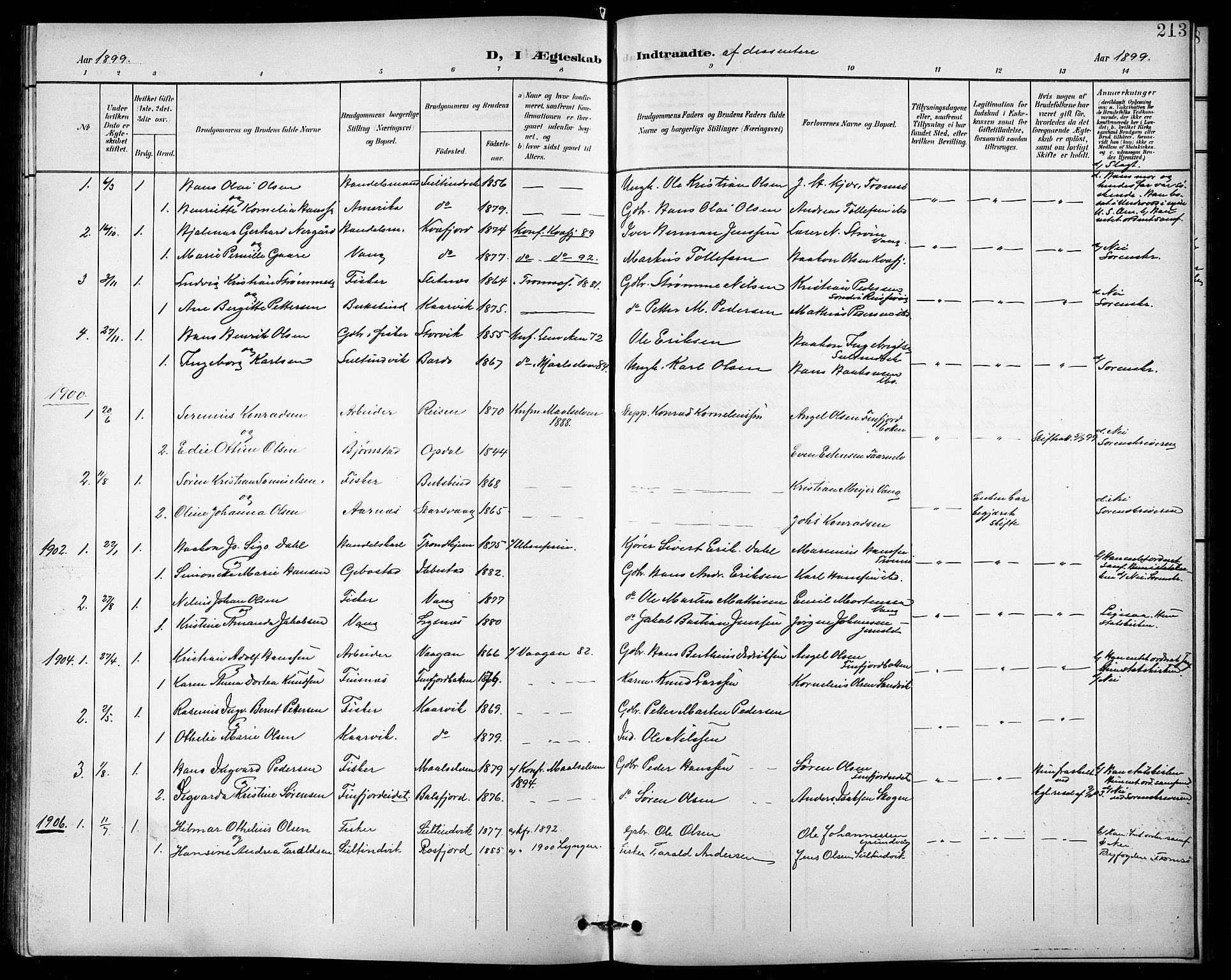 Lenvik sokneprestembete, SATØ/S-1310/H/Ha/Hab/L0008klokker: Parish register (copy) no. 8, 1899-1911, p. 213