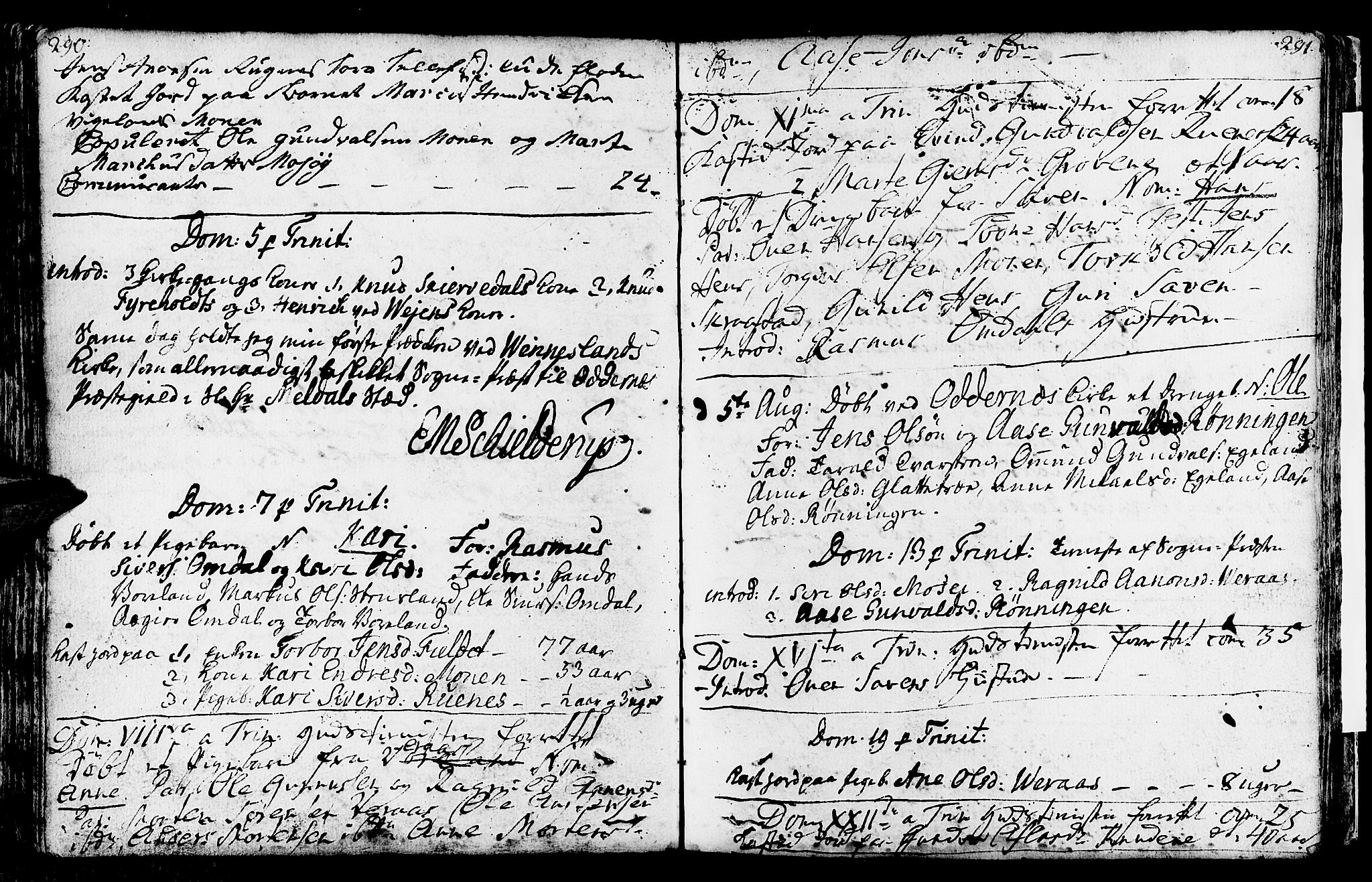 Vennesla sokneprestkontor, AV/SAK-1111-0045/Fa/Fab/L0001: Parish register (official) no. A 1, 1741-1794, p. 290-291