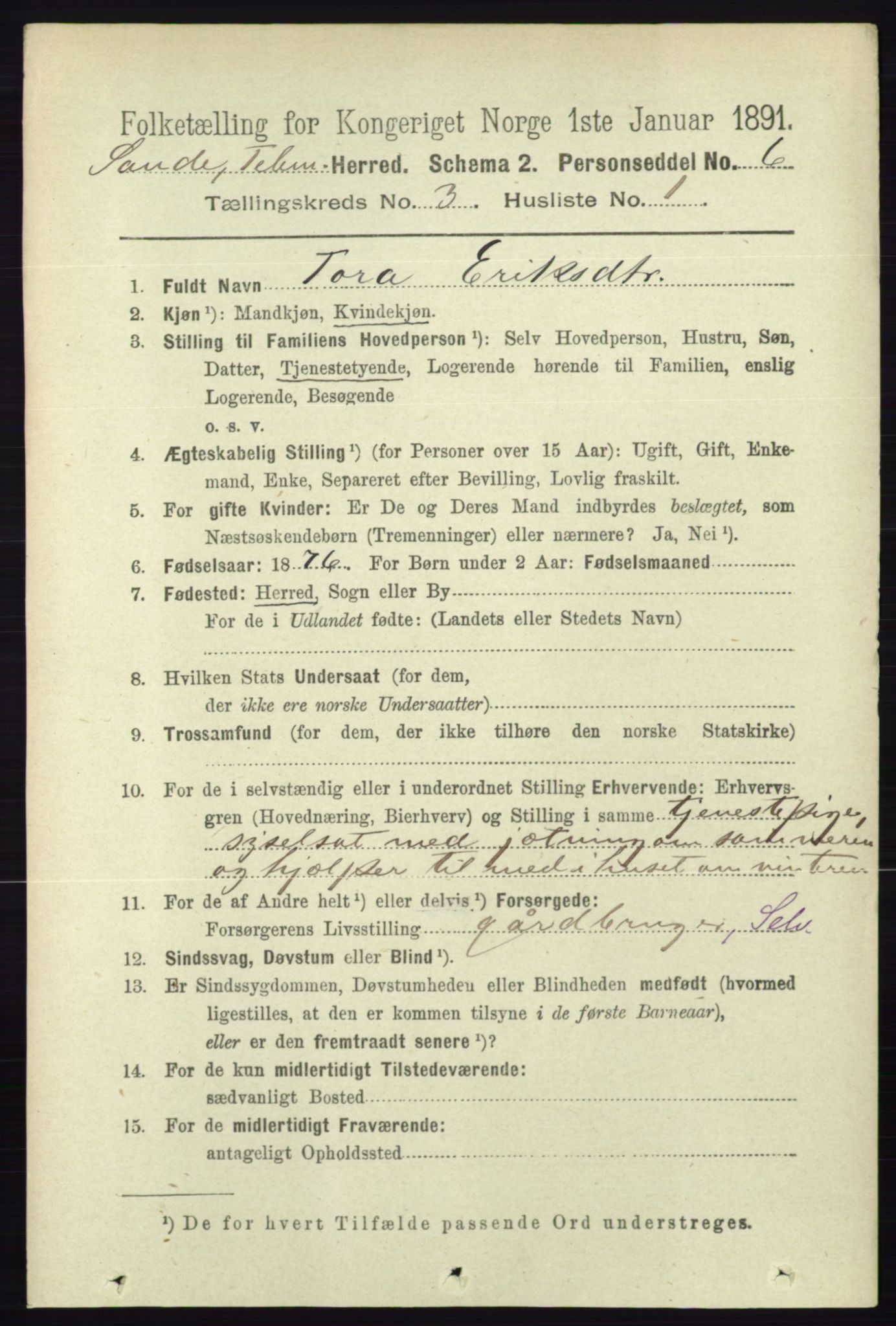 RA, 1891 census for 0822 Sauherad, 1891, p. 736