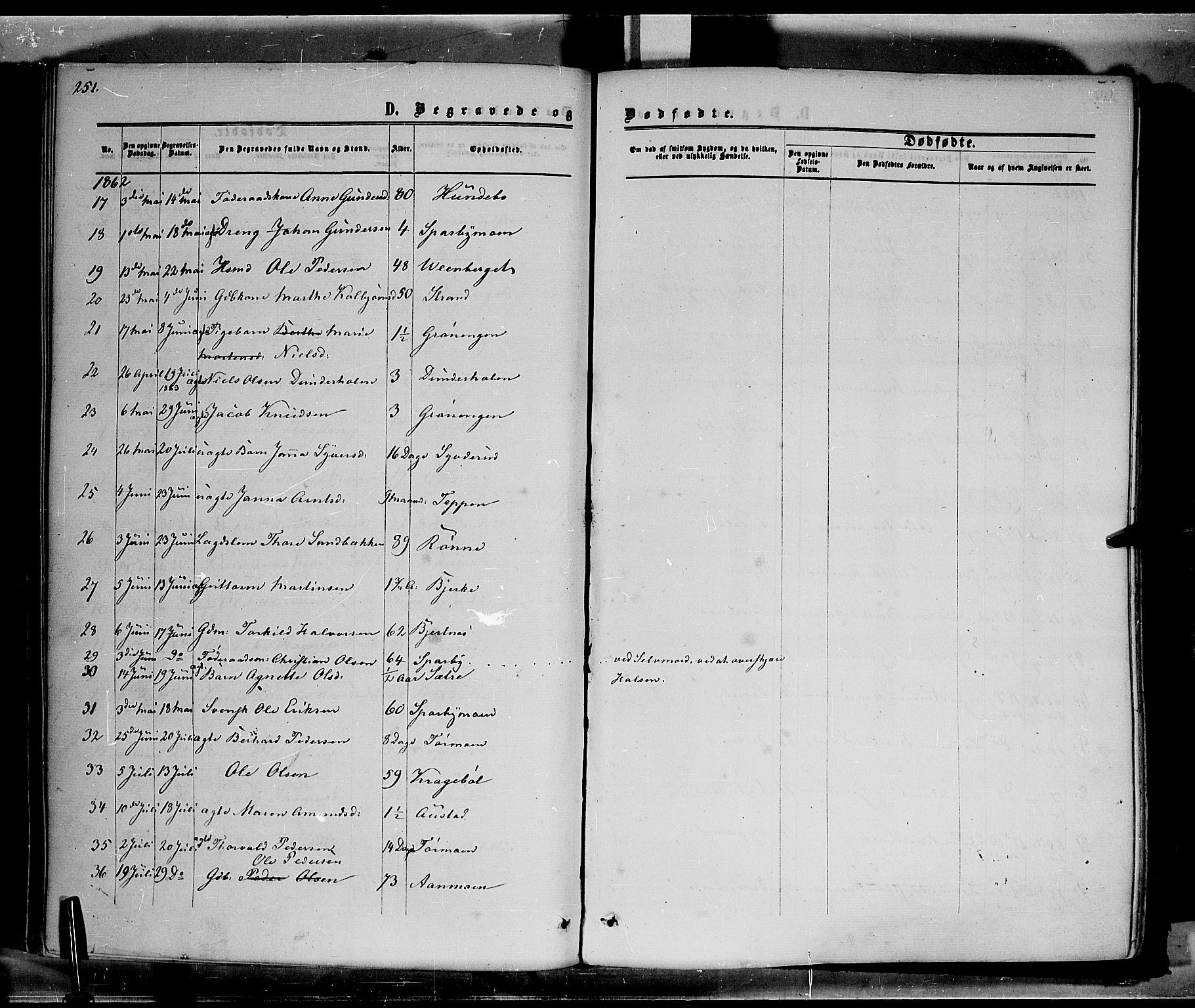 Hof prestekontor, SAH/PREST-038/H/Ha/Haa/L0009: Parish register (official) no. 9, 1862-1877, p. 251