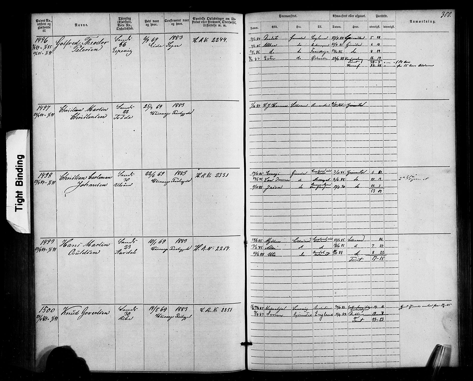 Lillesand mønstringskrets, SAK/2031-0014/F/Fa/L0002: Annotasjonsrulle nr 1-1910 med register, W-8, 1868-1891, p. 306