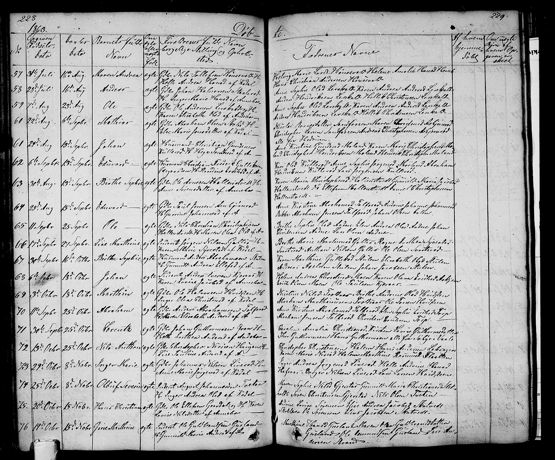 Andebu kirkebøker, AV/SAKO-A-336/G/Ga/L0003: Parish register (copy) no. I 3, 1832-1867, p. 228-229