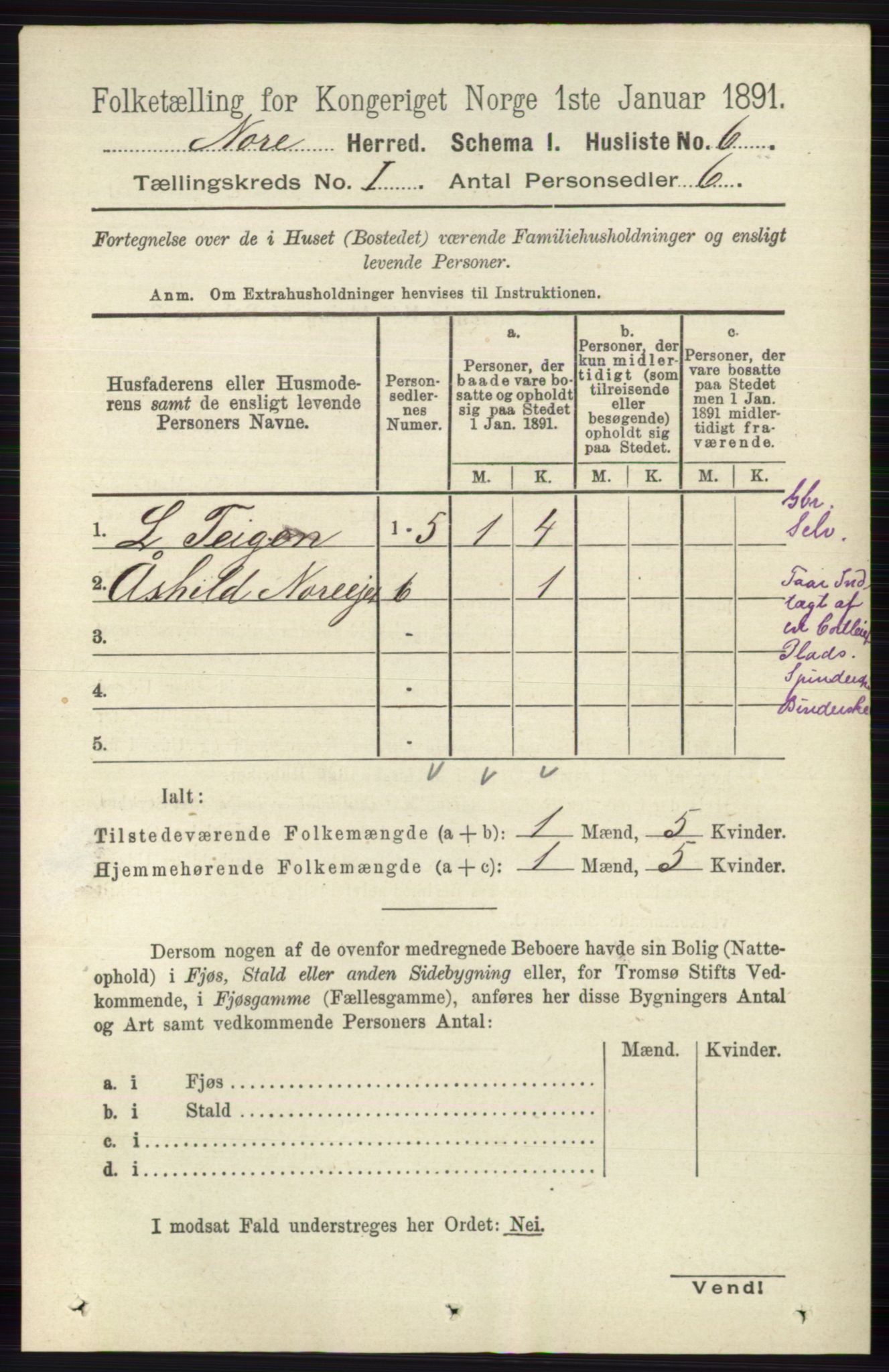 RA, 1891 census for 0633 Nore, 1891, p. 38