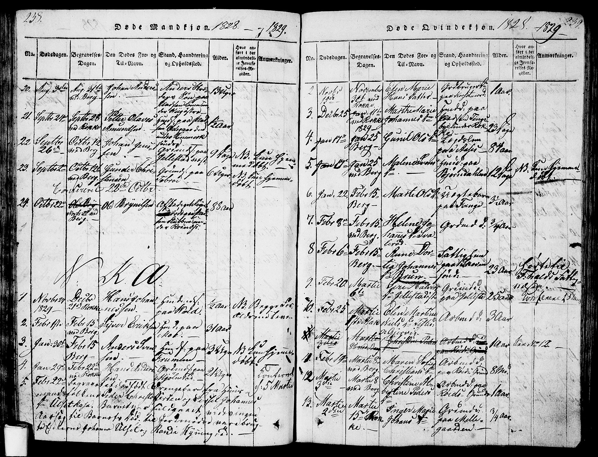 Berg prestekontor Kirkebøker, AV/SAO-A-10902/G/Ga/L0001: Parish register (copy) no. I 1, 1815-1832, p. 238-239