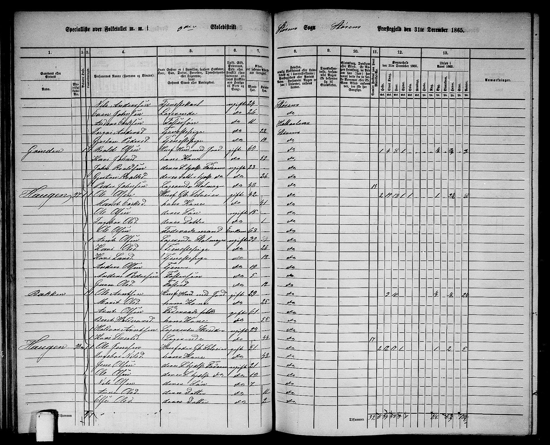 RA, 1865 census for Støren, 1865, p. 61