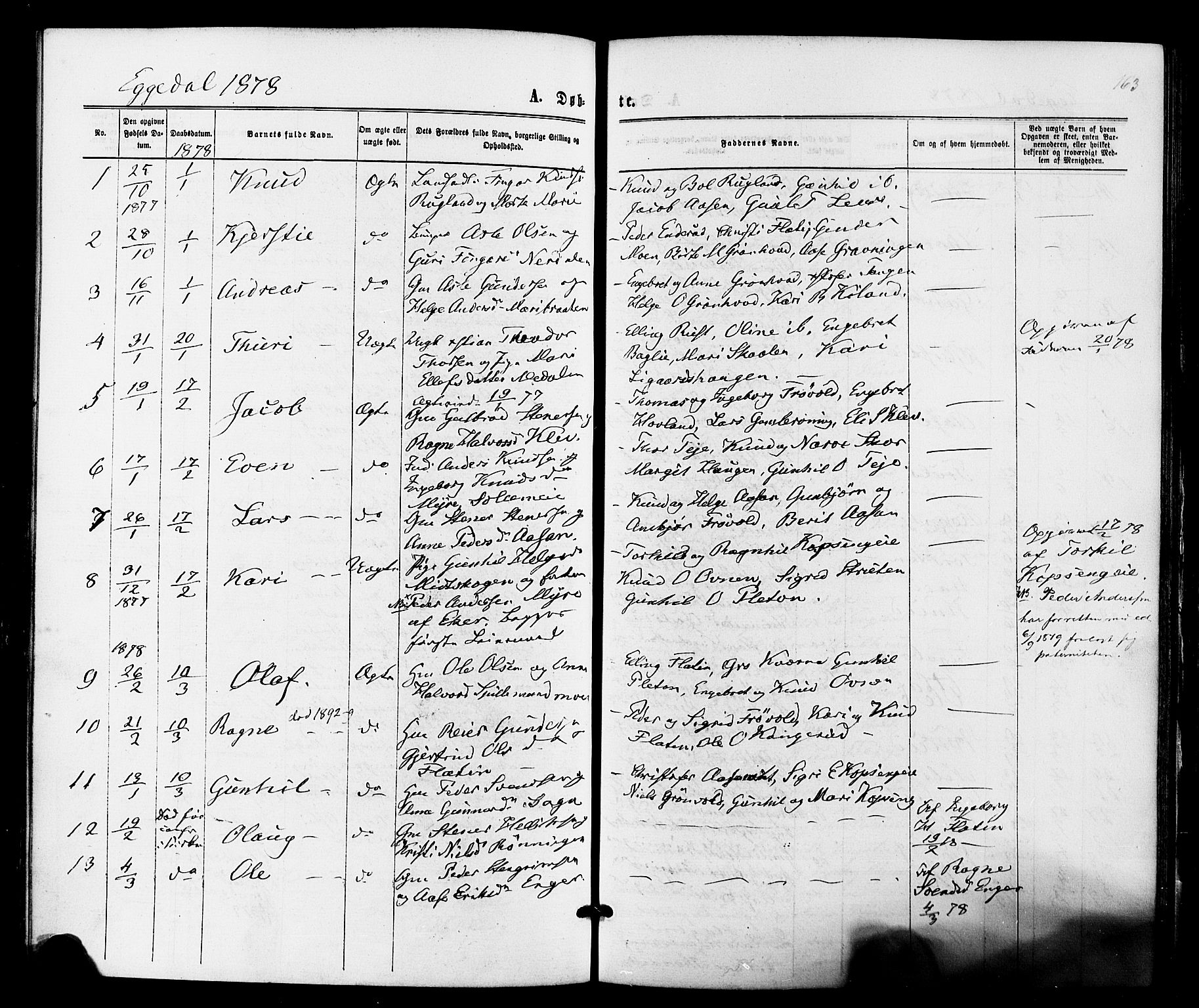 Sigdal kirkebøker, SAKO/A-245/F/Fa/L0010: Parish register (official) no. I 10 /3, 1872-1878, p. 163