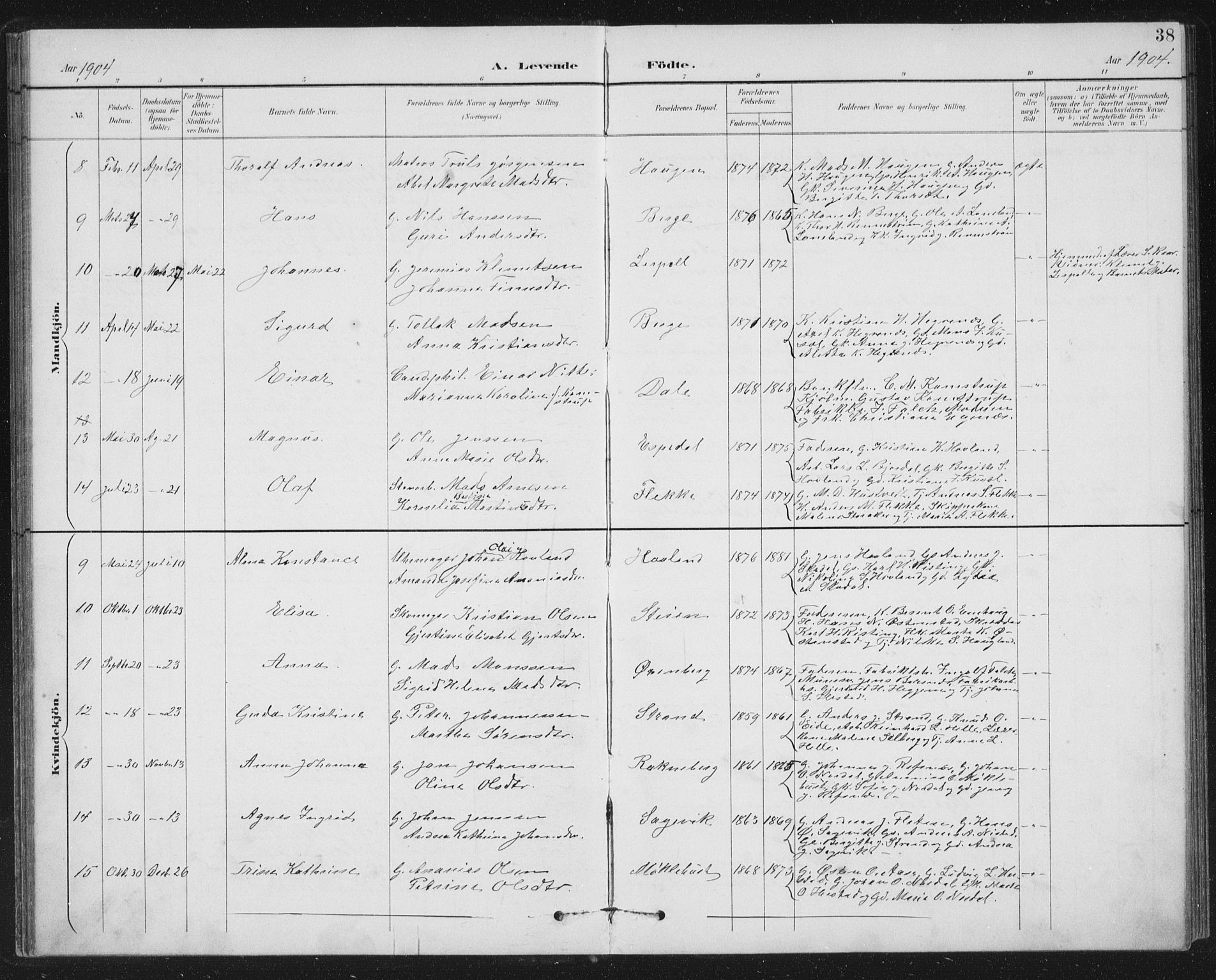 Fjaler sokneprestembete, AV/SAB-A-79801/H/Hab/Habc/L0003: Parish register (copy) no. C 3, 1894-1917, p. 38