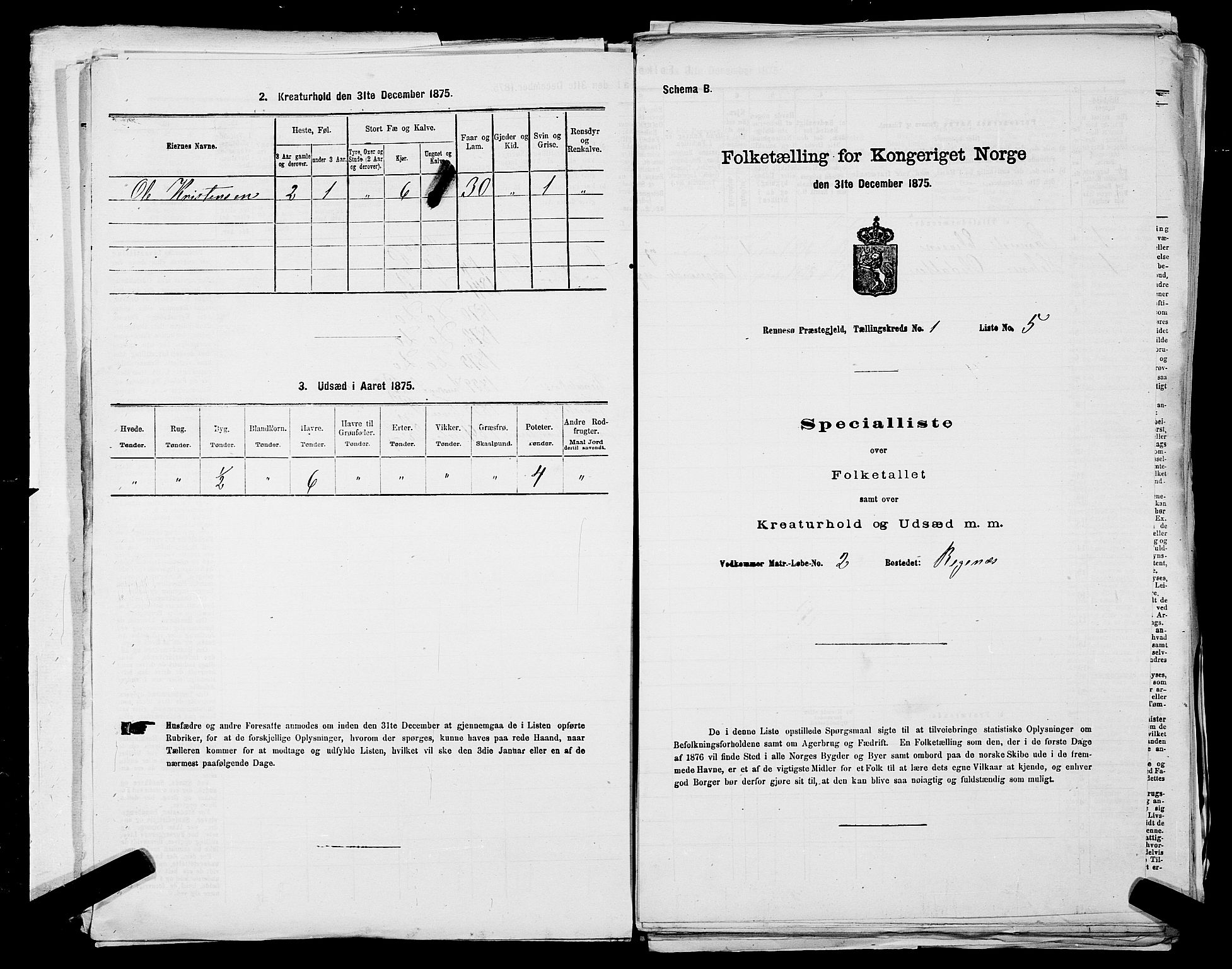 SAST, 1875 census for 1142P Rennesøy, 1875, p. 45