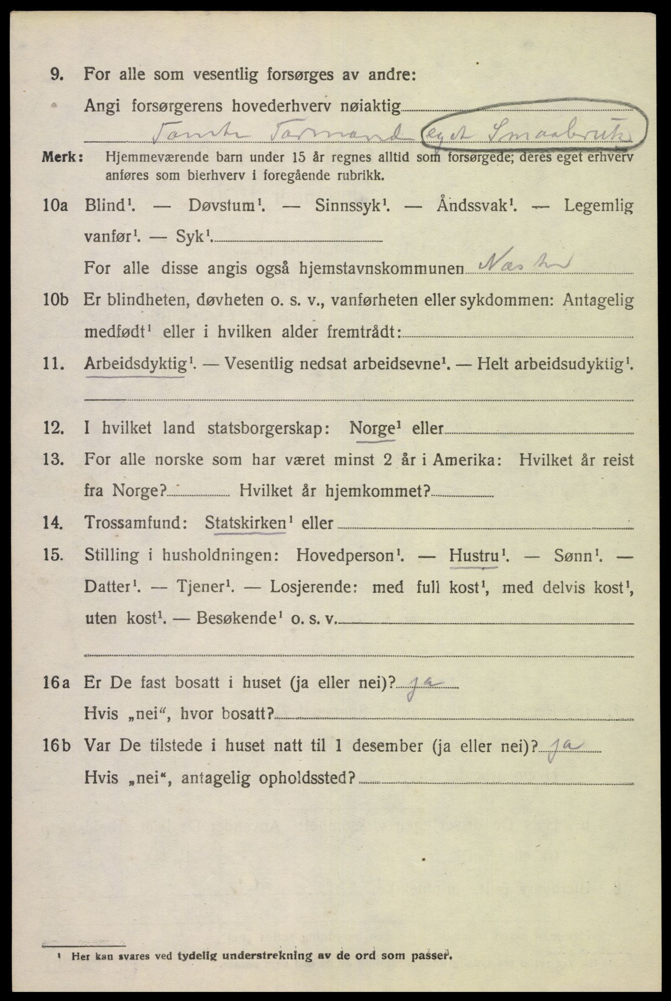 SAK, 1920 census for Nes (V-A), 1920, p. 5415