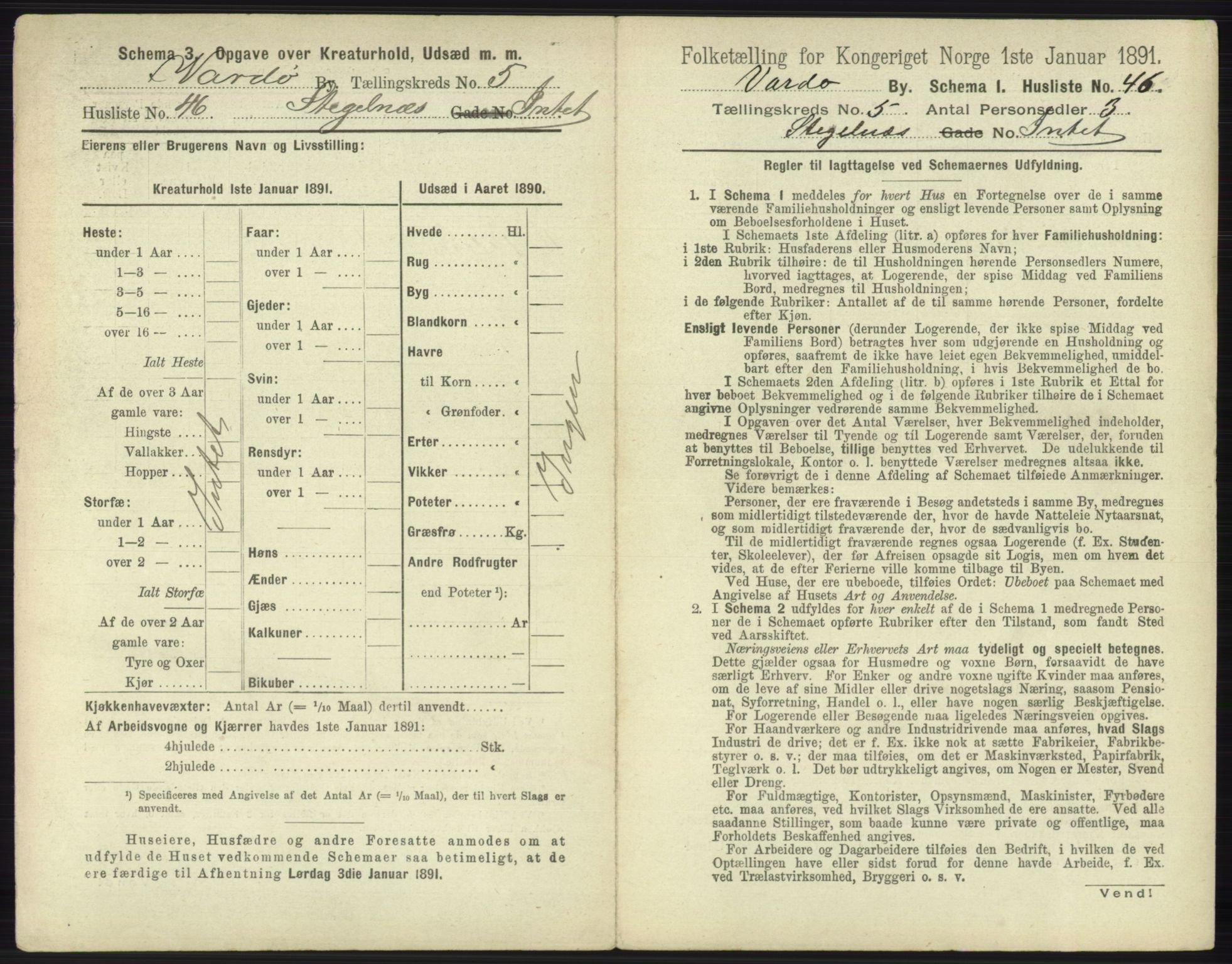 RA, 1891 census for 2002 Vardø, 1891, p. 2318