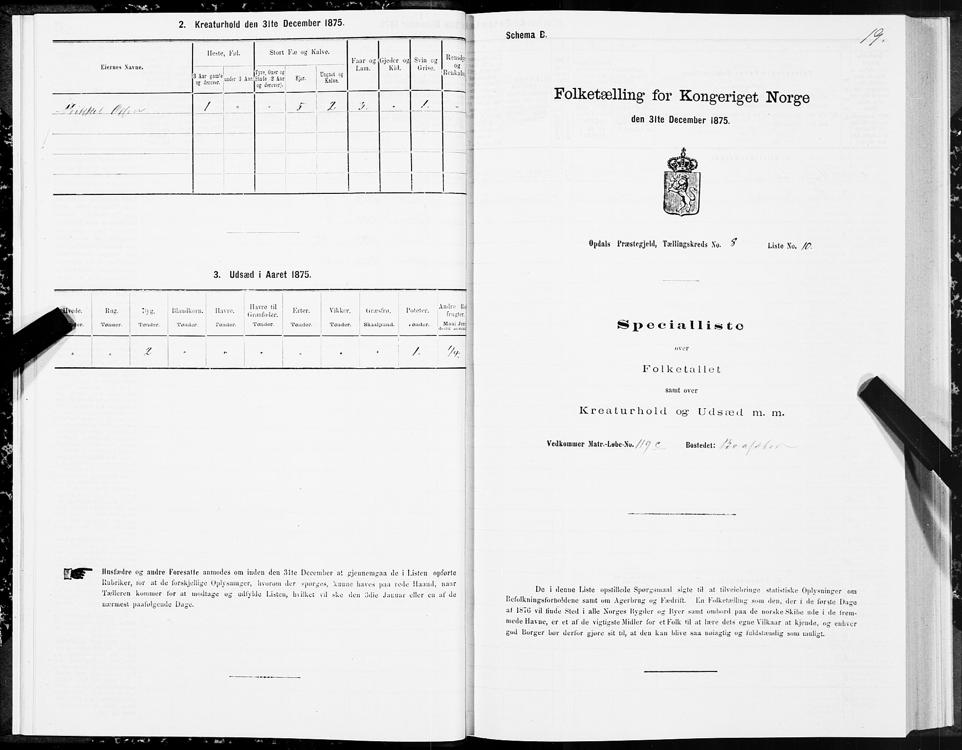 SAT, 1875 census for 1634P Oppdal, 1875, p. 5019