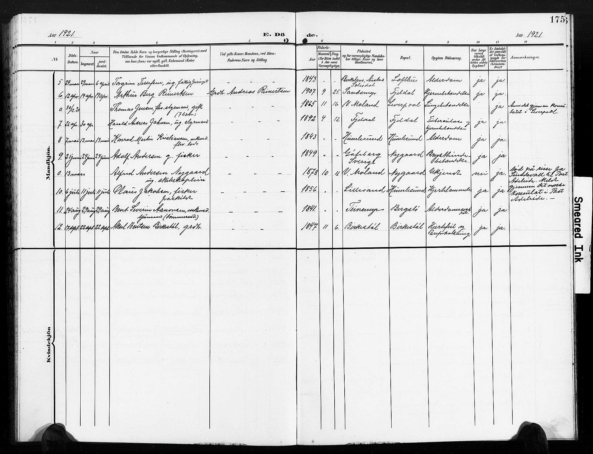 Vestre Moland sokneprestkontor, AV/SAK-1111-0046/F/Fb/Fbb/L0007: Parish register (copy) no. B 7, 1906-1929, p. 175