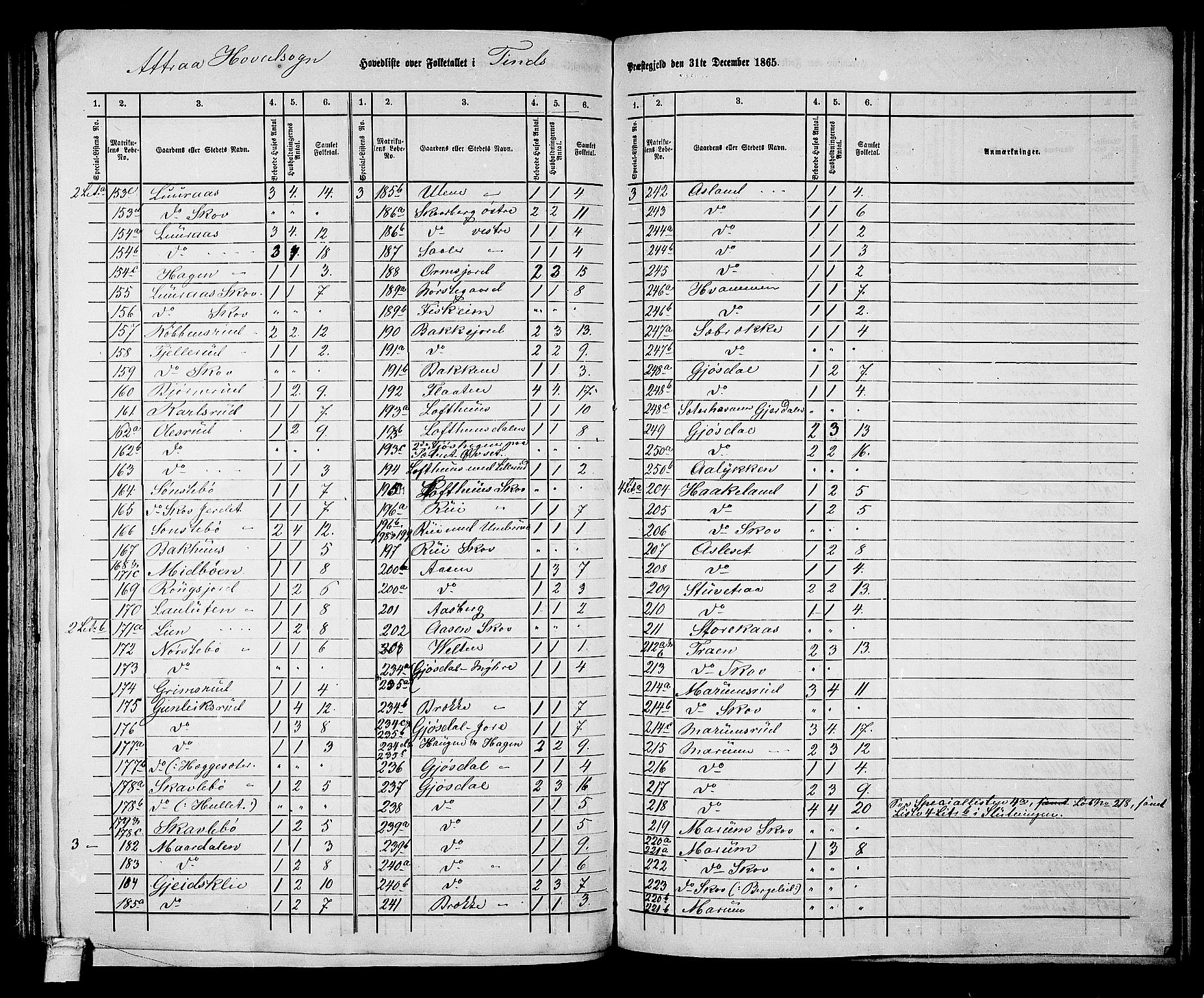 RA, 1865 census for Tinn, 1865, p. 3