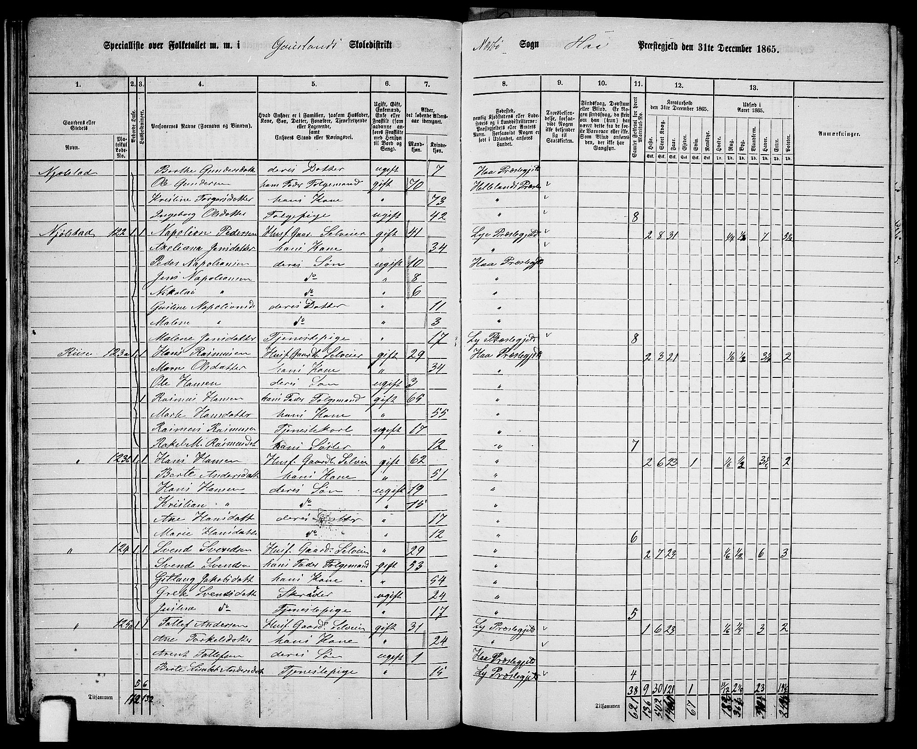 RA, 1865 census for Hå, 1865, p. 31