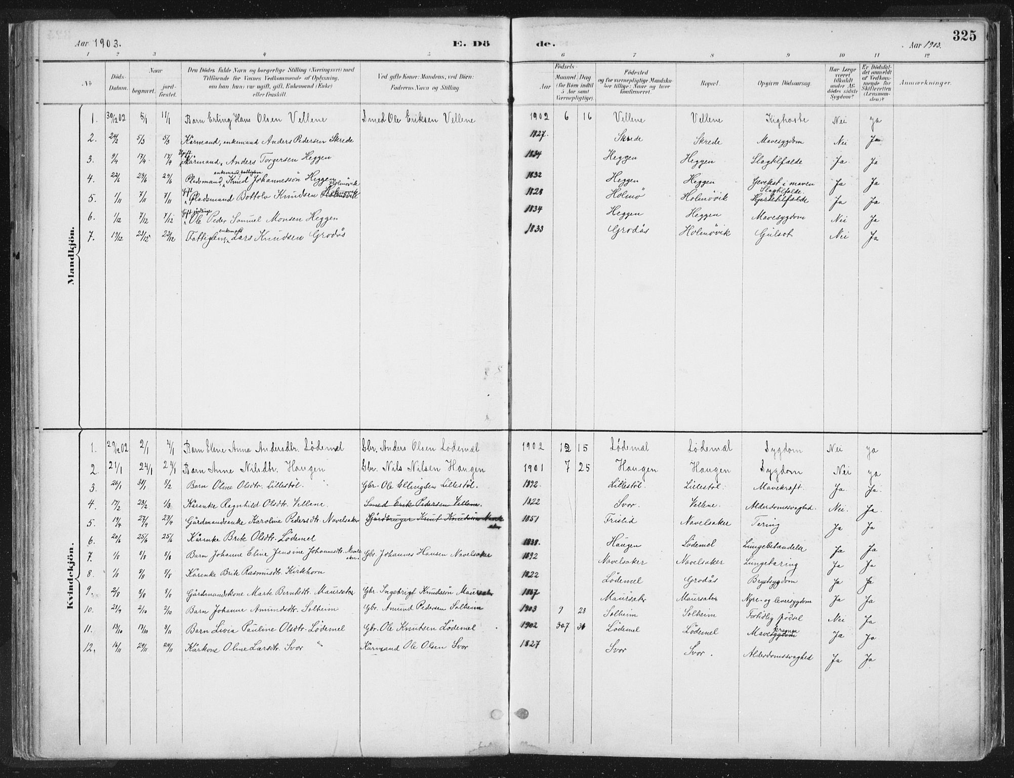 Hornindal sokneprestembete, AV/SAB-A-82401/H/Haa/Haaa/L0003/0002: Parish register (official) no. A 3B, 1885-1917, p. 325