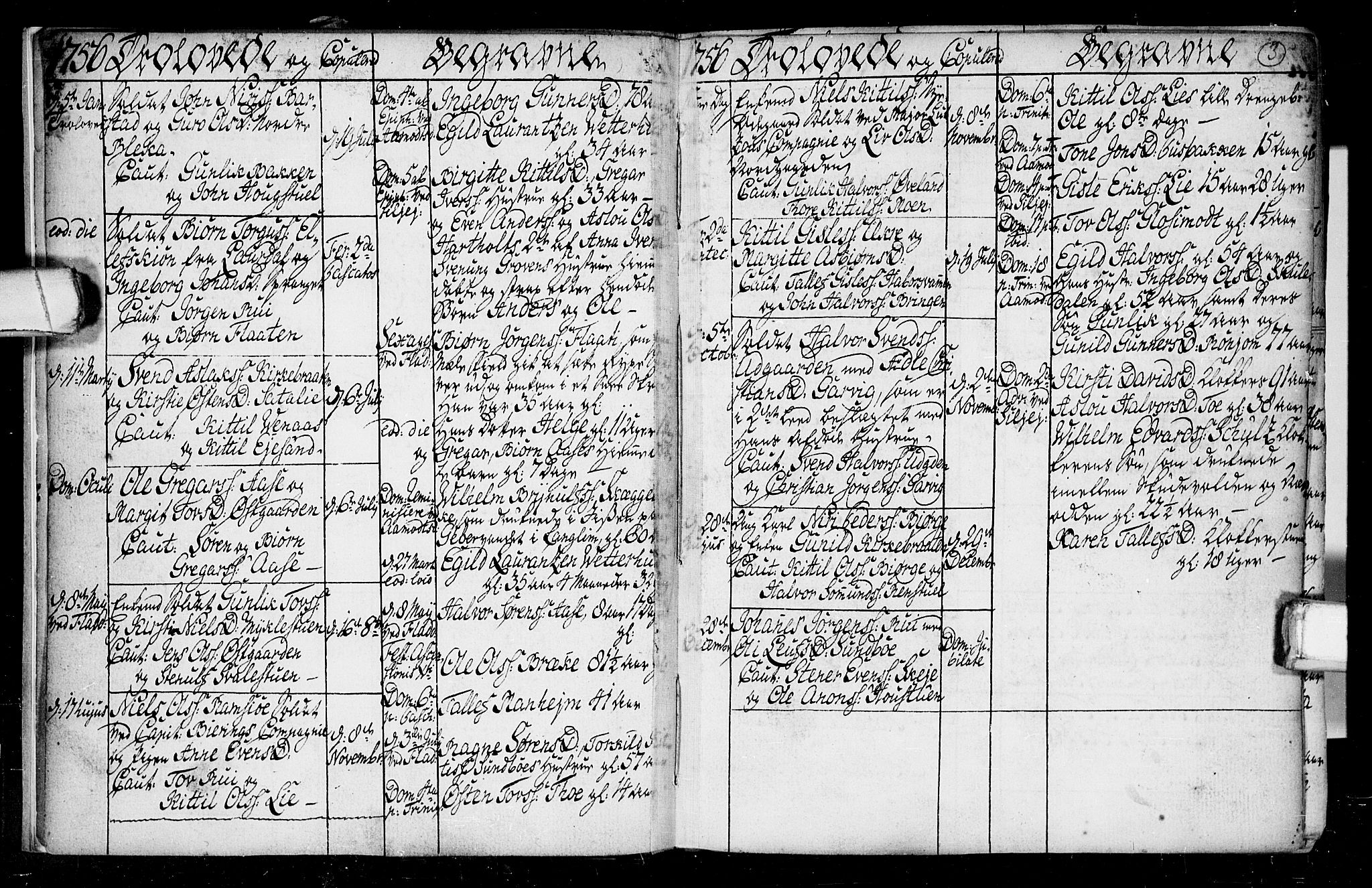 Seljord kirkebøker, AV/SAKO-A-20/F/Fa/L0008: Parish register (official) no. I 8, 1755-1814, p. 3