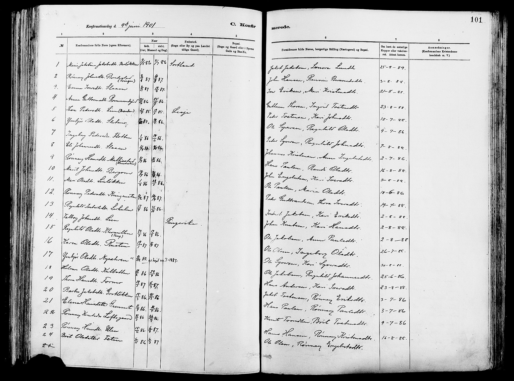 Vågå prestekontor, SAH/PREST-076/H/Ha/Haa/L0008: Parish register (official) no. 8, 1886-1904, p. 101
