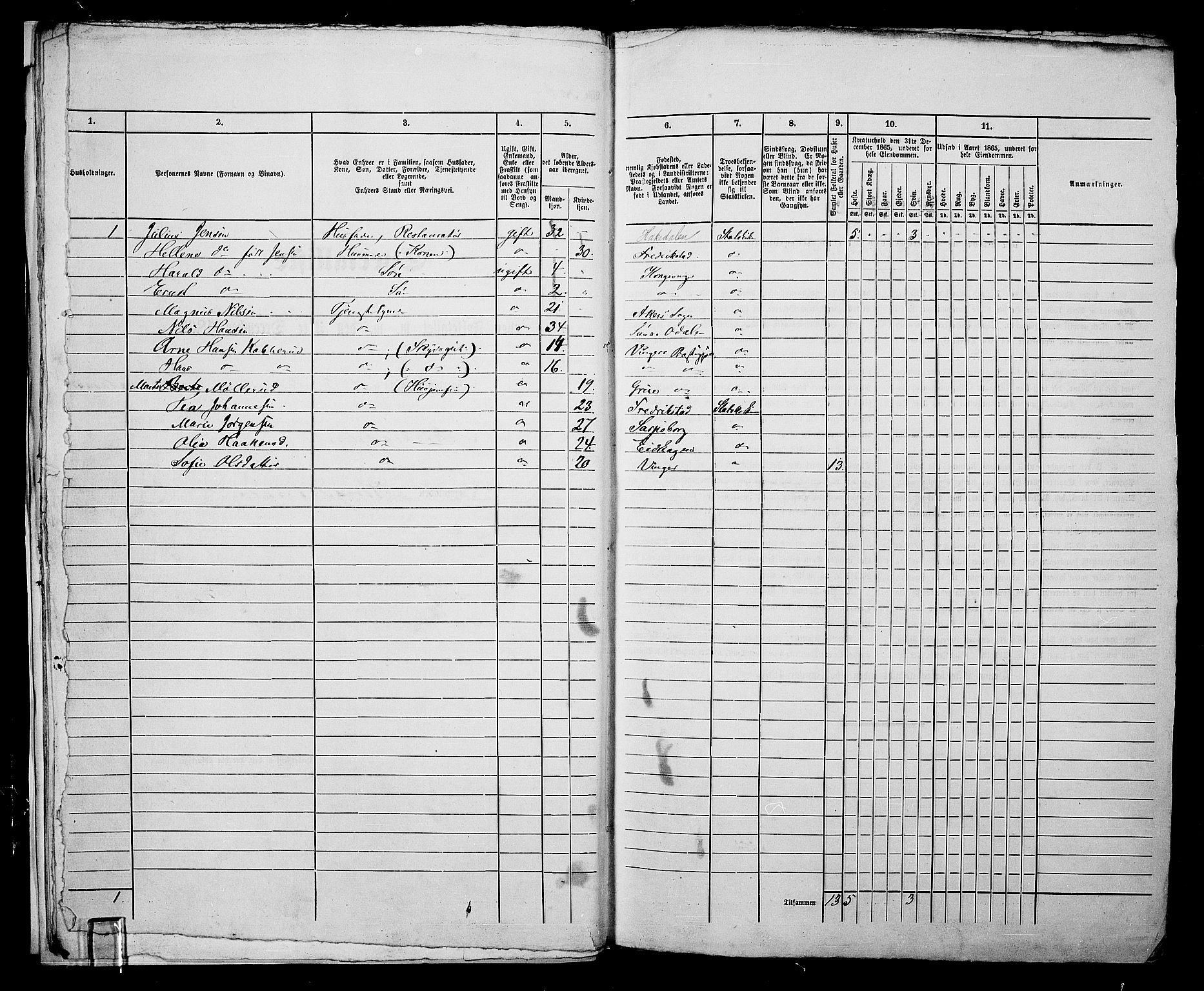 RA, 1865 census for Vinger/Kongsvinger, 1865, p. 17