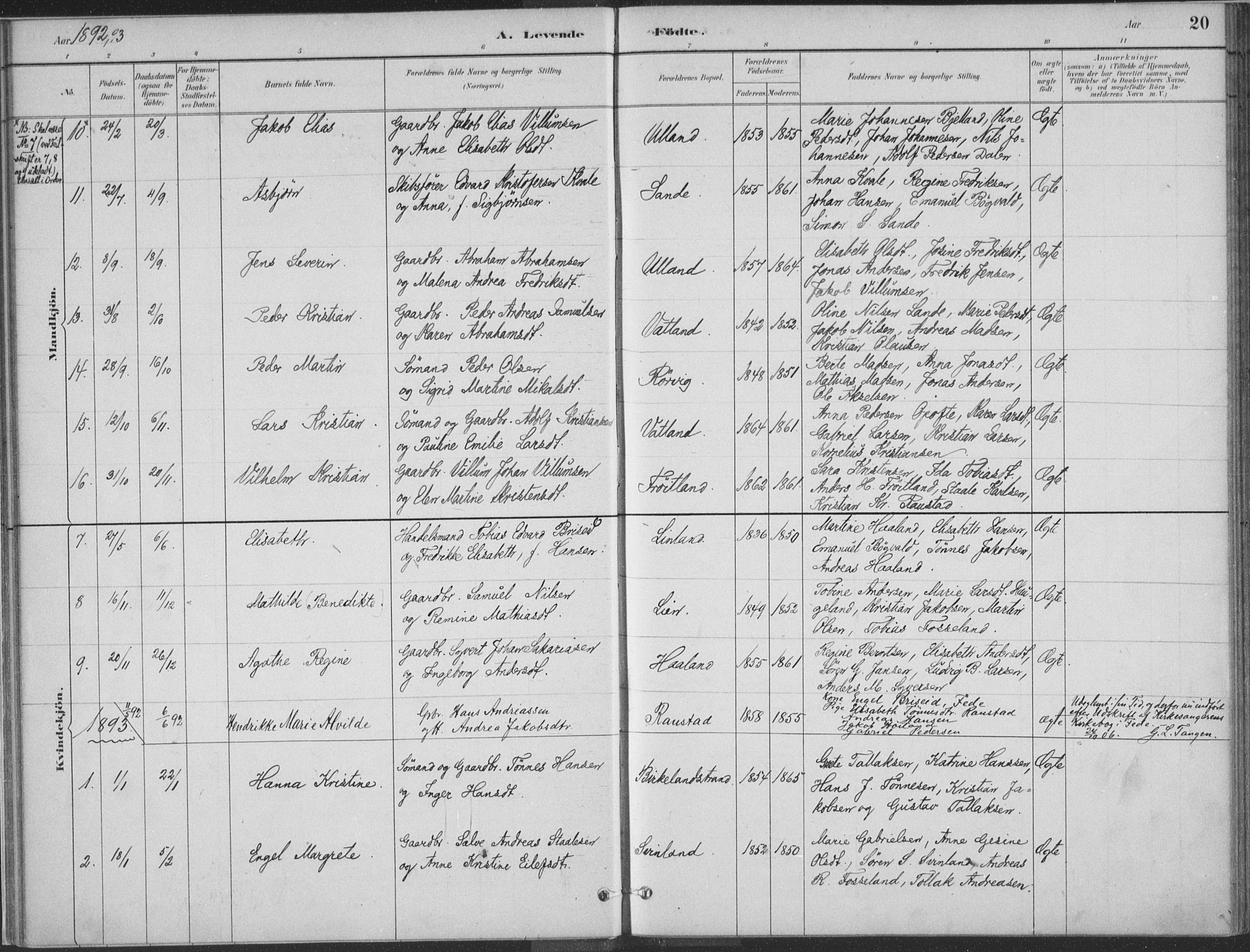 Kvinesdal sokneprestkontor, SAK/1111-0026/F/Fa/Faa/L0004: Parish register (official) no. A 4, 1882-1897, p. 20