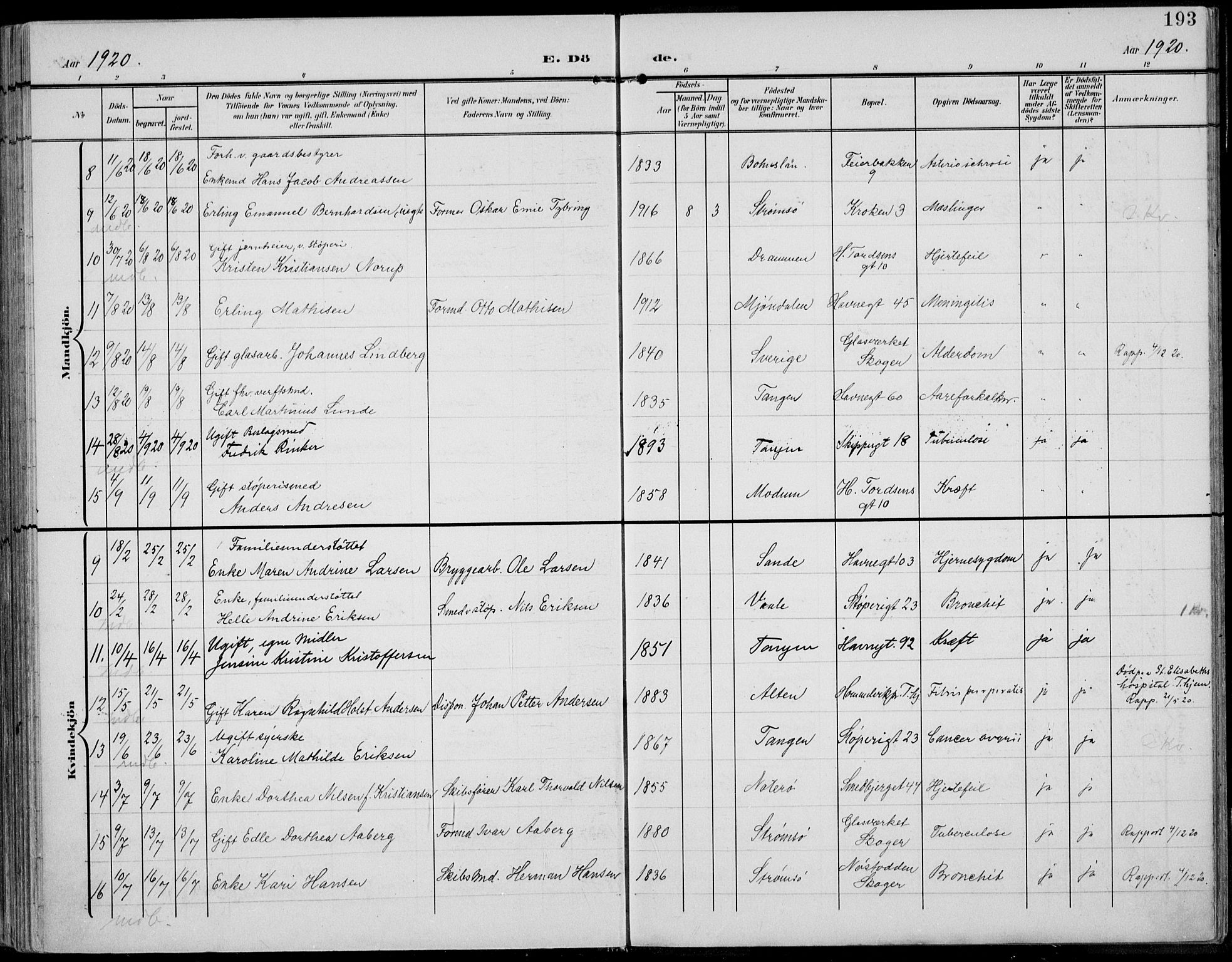 Strømsø kirkebøker, AV/SAKO-A-246/F/Fb/L0008: Parish register (official) no. II 8, 1902-1933, p. 193