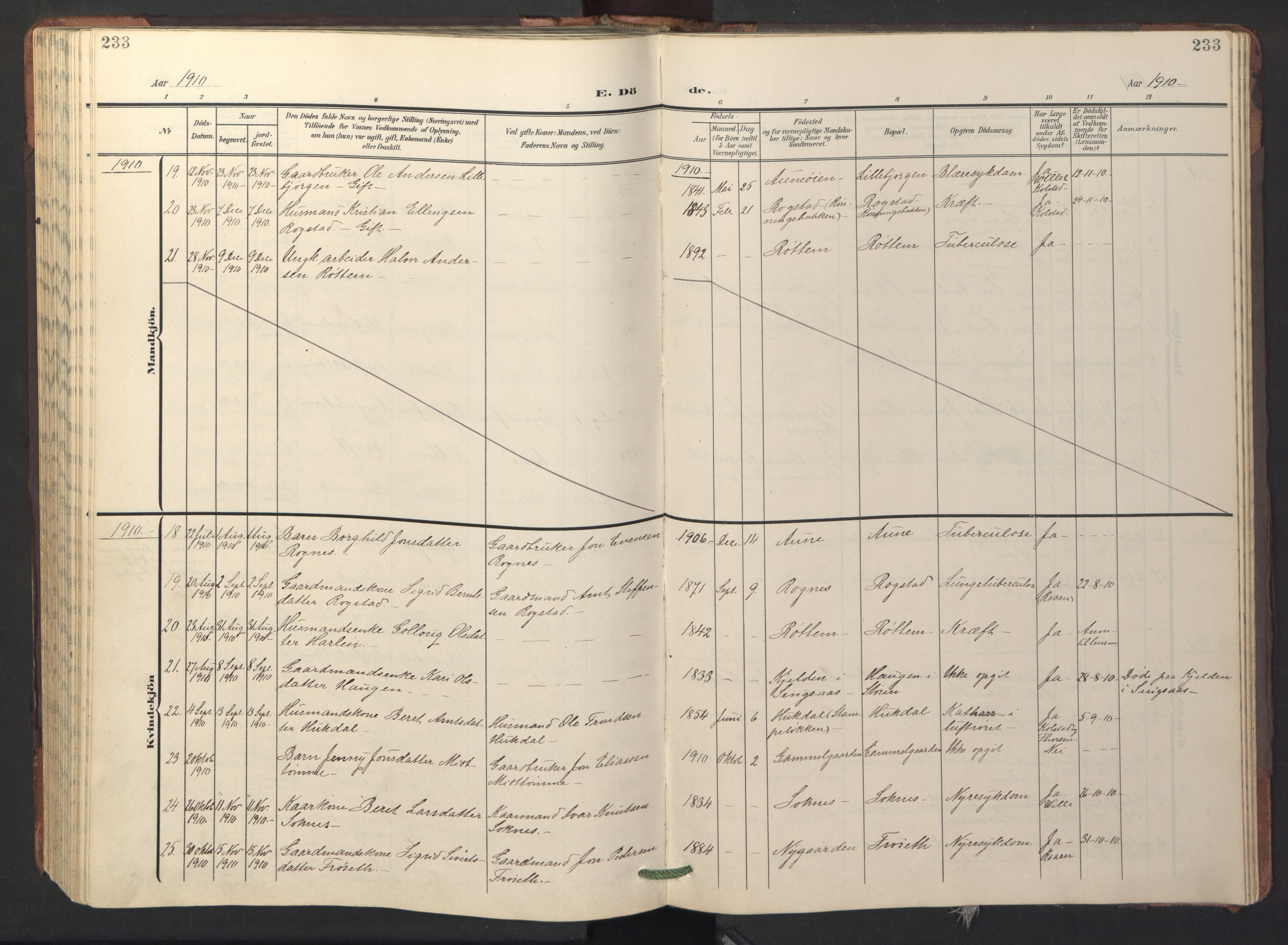 Ministerialprotokoller, klokkerbøker og fødselsregistre - Sør-Trøndelag, SAT/A-1456/687/L1019: Parish register (copy) no. 687C03, 1904-1931, p. 233